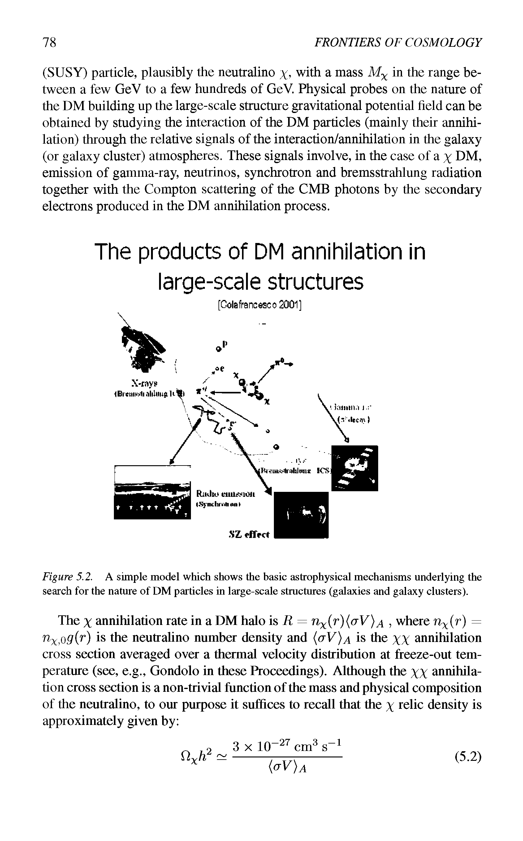 Figure 5.2. A simple model which shows the basic astrophysical mechanisms underlying the search for the nature of DM particles in large-scale structures (galaxies and galaxy clusters).