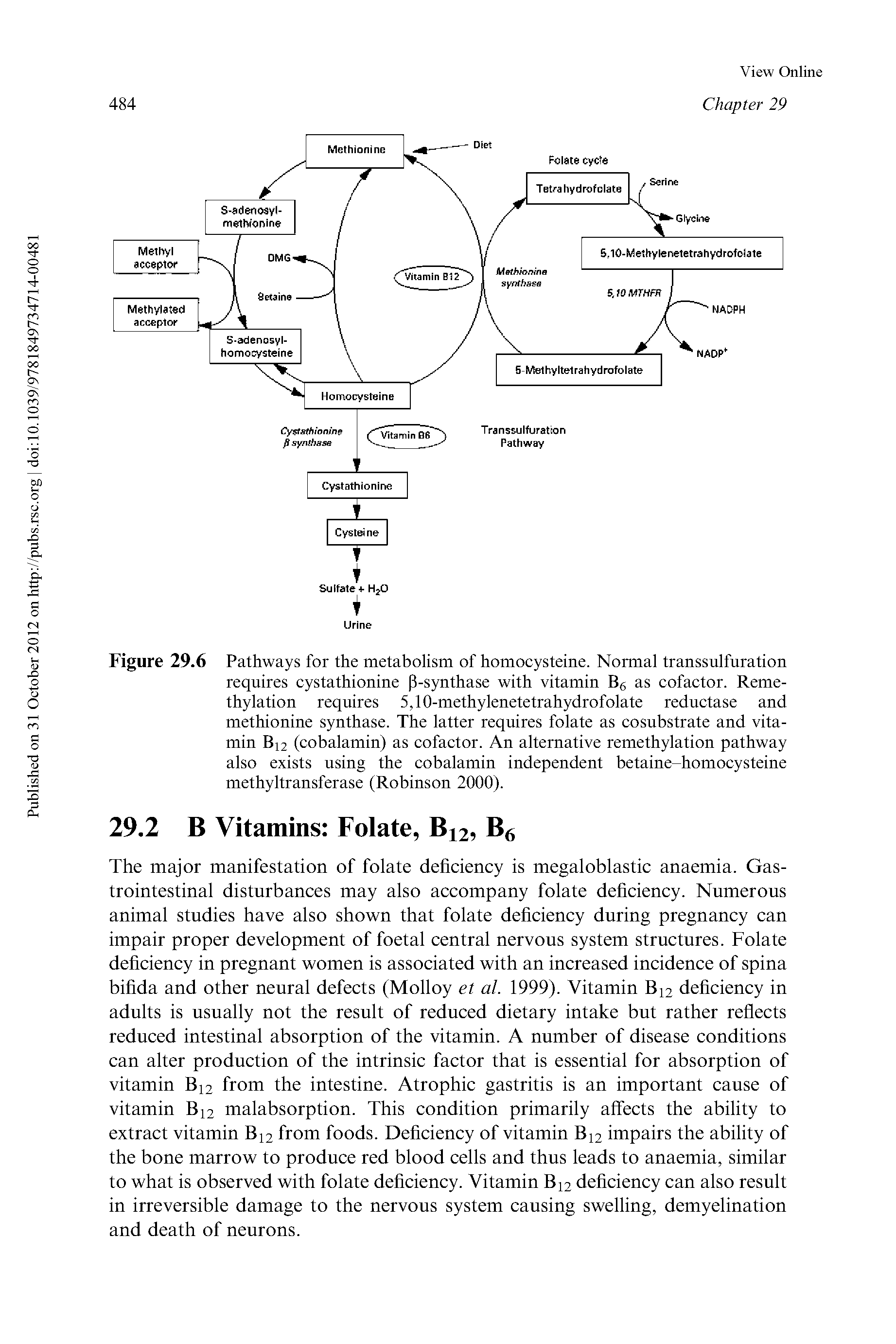 Figure 29.6 Pathways for the metabolism of homocysteine. Normal transsulfuration requires cystathionine P-synthase with vitamin Bg as cofactor. Reme-thylation requires 5,10-methylenetetrahydrofolate reductase and methionine synthase. The latter requires folate as cosubstrate and vitamin Bi2 (cobalamin) as cofactor. An alternative remethylation pathway also exists using the cobalamin independent betaine-homocysteine methyltransferase (Robinson 2000).