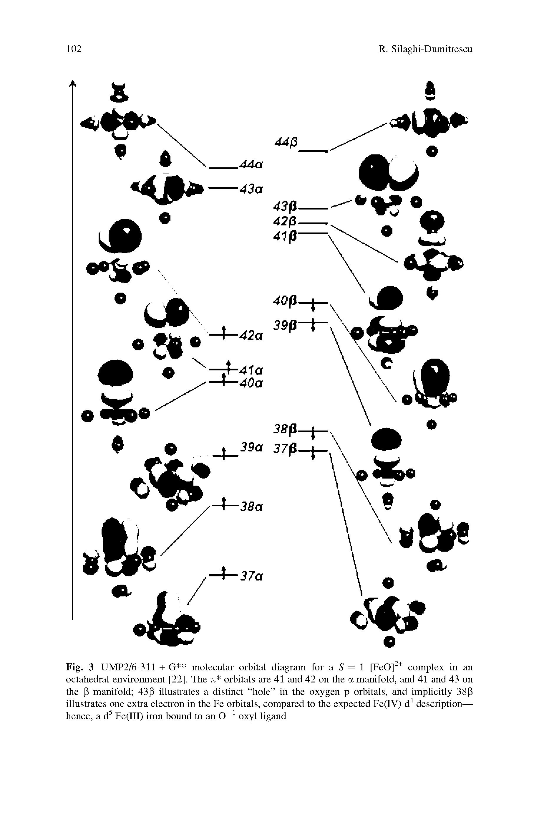 Fig. 3 UMP2/6-311 + G molecular orbital diagram for a 5 = 1 [FeO] complex in an octahedral environment [22], The 7t orbitals are 41 and 42 on the a manifold, and 41 and 43 on the P manifold 43p illustrates a distinct hole in the oxygen p orbitals, and implicitly 38p illustrates one extra electron in the Fe orbitals, compared to the expected Fe(IV) d" description— hence, a d Fe(III) iron bound to an oxyl ligand...