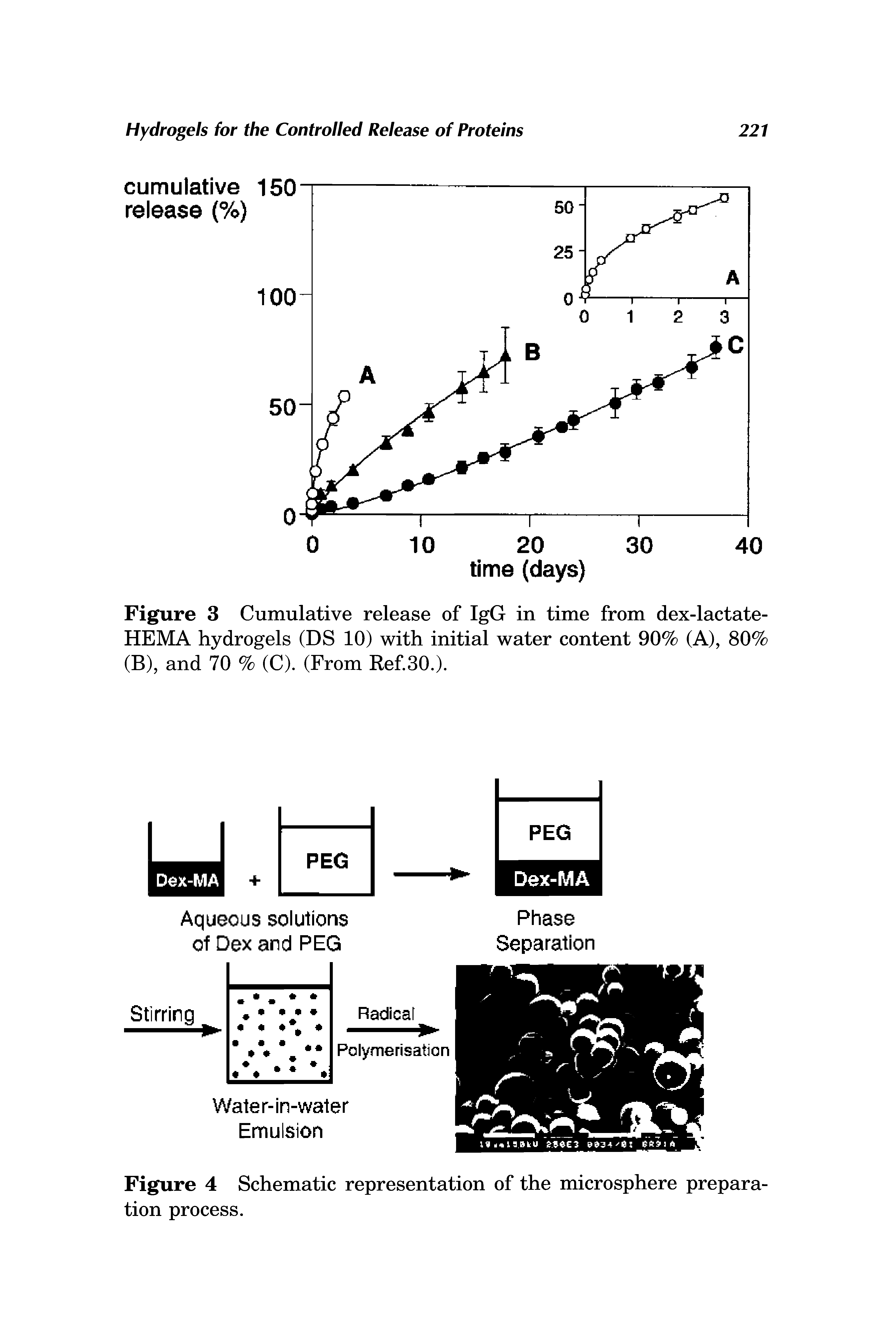 Figure 3 Cumulative release of IgG in time from dex-lactate-HEMA hydrogels (DS 10) with initial water content 90% (A), 80% (B), and 70 % (C). (From Ref 30.).