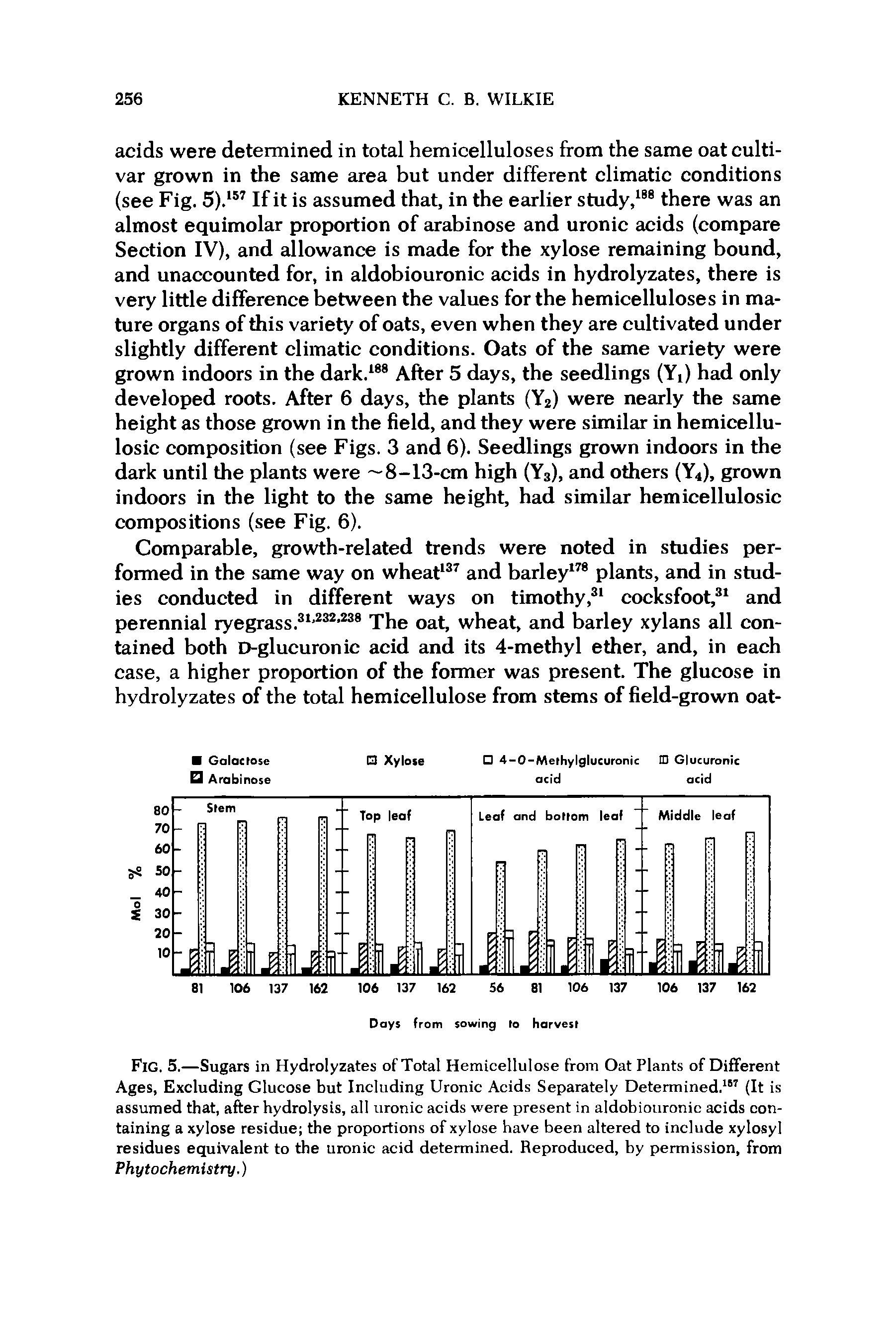 Fig. 5.—Sugars in Hydrolyzates of Total Hemicellulose from Oat Plants of Different Ages, Excluding Glucose but Including Uronic Acids Separately Determined.167 (It is assumed that, after hydrolysis, all uronic acids were present in aldobiouronic acids containing a xylose residue the proportions of xylose have been altered to include xylosyl residues equivalent to the uronic acid determined. Reproduced, by permission, from Phytochemistry.)...