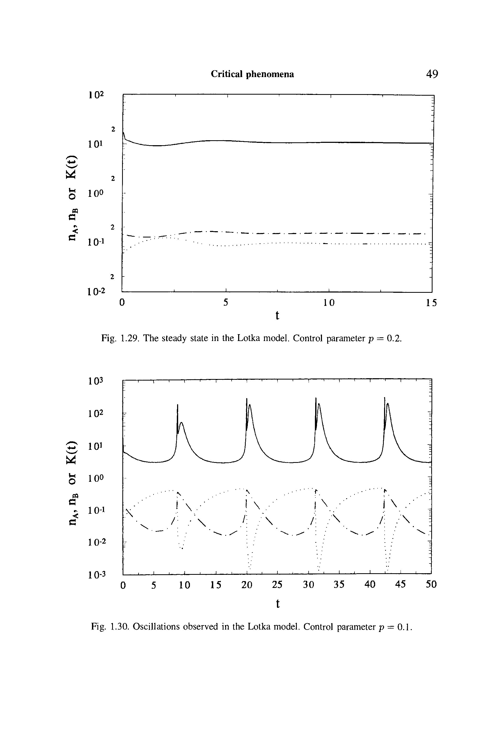 Fig. 1.29. The steady state in the Lotka model. Control parameter p = 0.2.