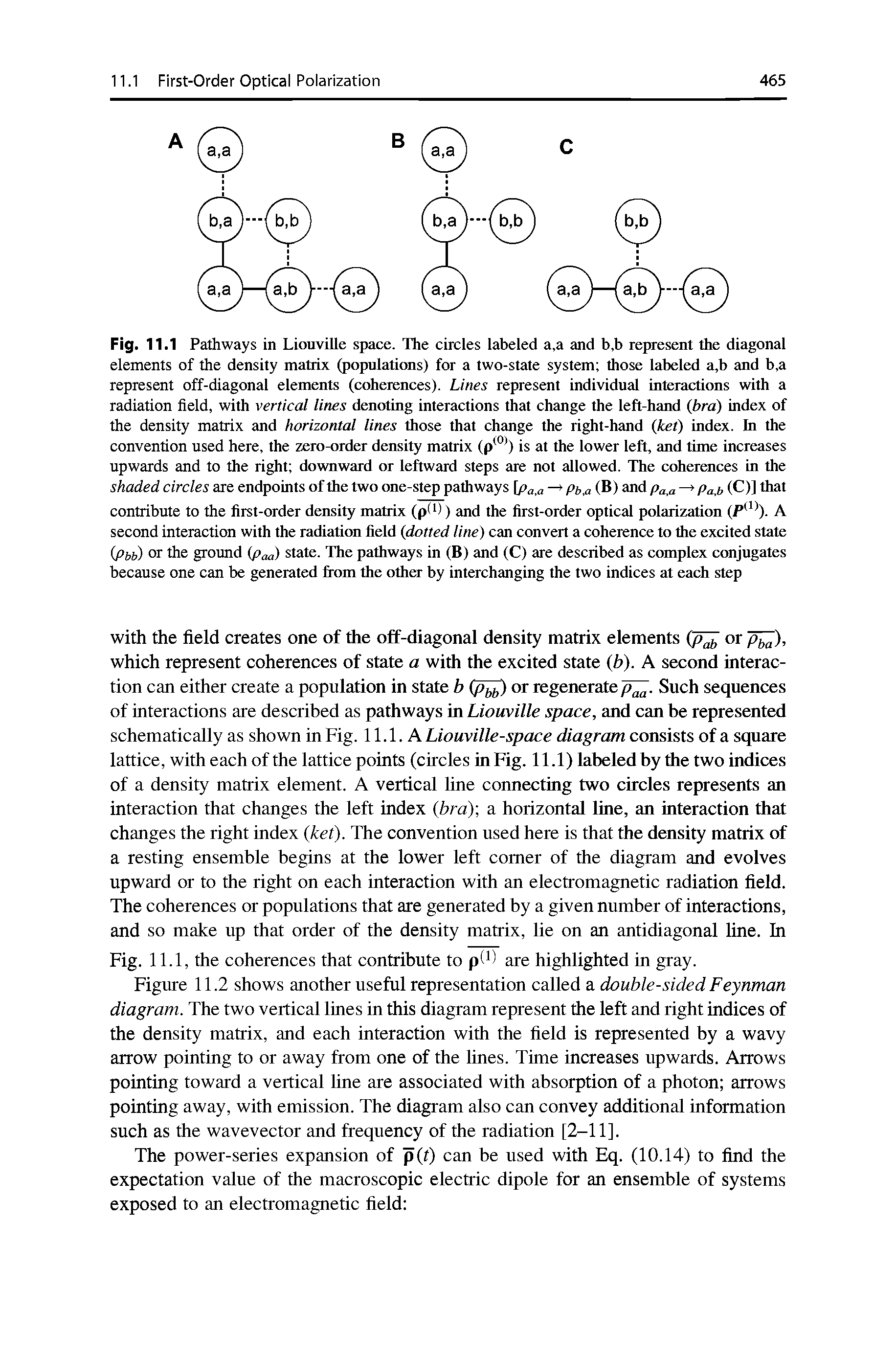 Fig. 11.1 Pathways in Liouville space. The circles labeled a,a and b,b represent the diagonal elements of the density matrix (populations) for a two-state system those labeled a,b and b,a represent off-diagonal elements (coherences). Lines represent individual interactions with a radiation field, with vertical lines denoting interactions that change the left-hand (bra) index of the density matrix and horizontal lines those that change the right-hand (ket) index. In the convention used here, the zero-order density matrix (p ° ) is at the lower left, and time increases upwards and to the right downward or leftward steps are not allowed. The coherences in the shaded circles are endpoints of the two one-step pathways [pa,a — pb (B) and pa — Paj, (C)] that contribute to the first-order density matrix (p< )) and the first-order optical polarization (P ). A second interaction with the radiation field (dotted line) can convert a coherence to the excited state (Pbb) Of the ground (paa) state. The pathways in (B) and (C) are described as complex conjugates because one can be generated fi om the other by interchanging the two indices at each step...