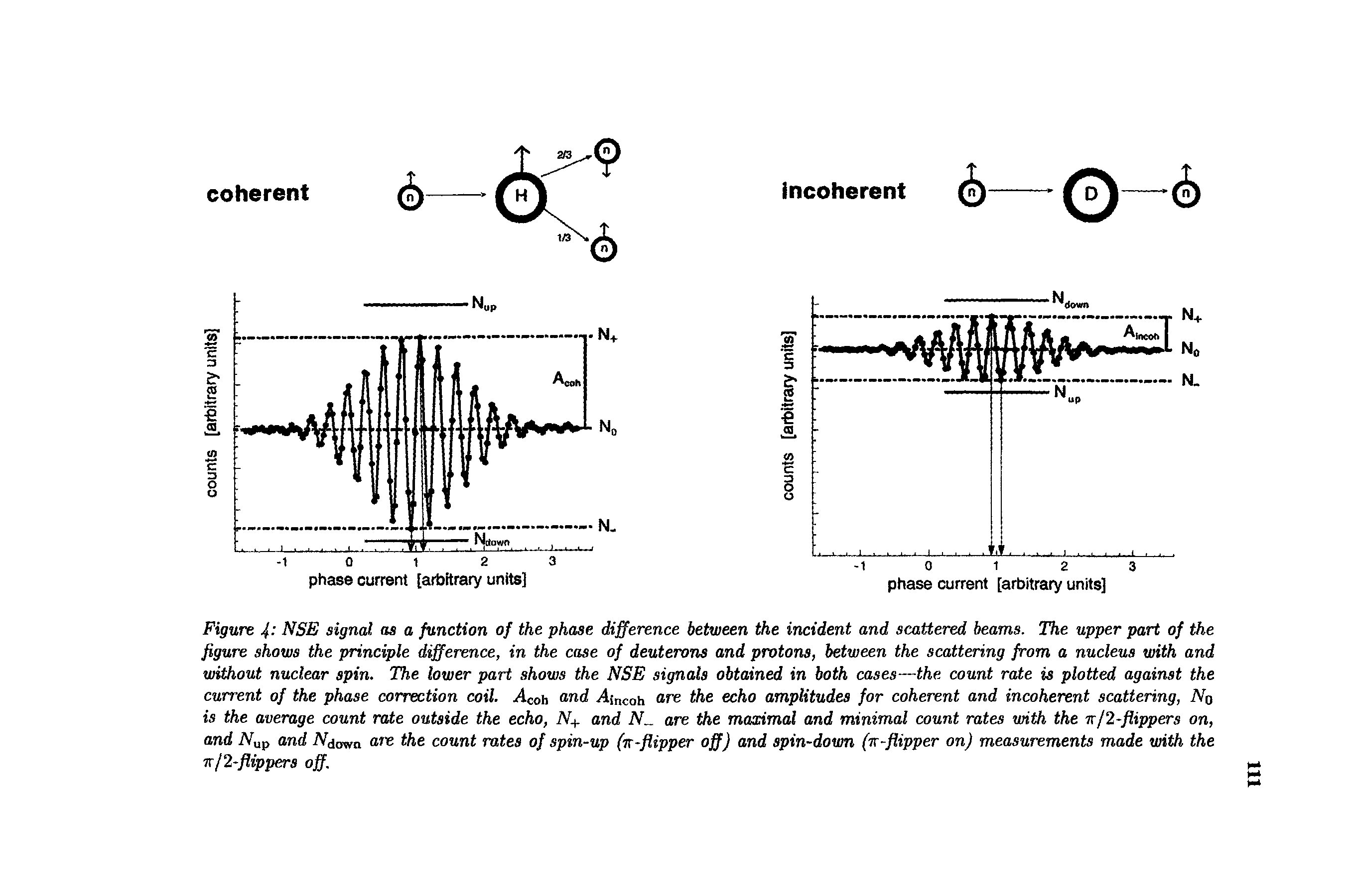 Figure 4- SE signal as a function of the phase difference between the incident and scattered beams. The upper part of the figure shows the principle difference, in the case of deuterons and protons, between the scattering from a nucleus with and without nuclear spin. The lower part shows the NSE signals obtained in both cases—the count rate is plotted against the current of the phase correction coil. Acob und vdincoh ore the echo amplitudes for coherent and incoherent scattering, No is the average count rate outside the echo, N+ and iV are the maximal and minimal count rates with the ir/2-flippers on, and Nap and iVdown are the count rates of spin-up (rr-flipper off) and spin-down (ir-flipper on) measurements made with the nl2-flippers off.
