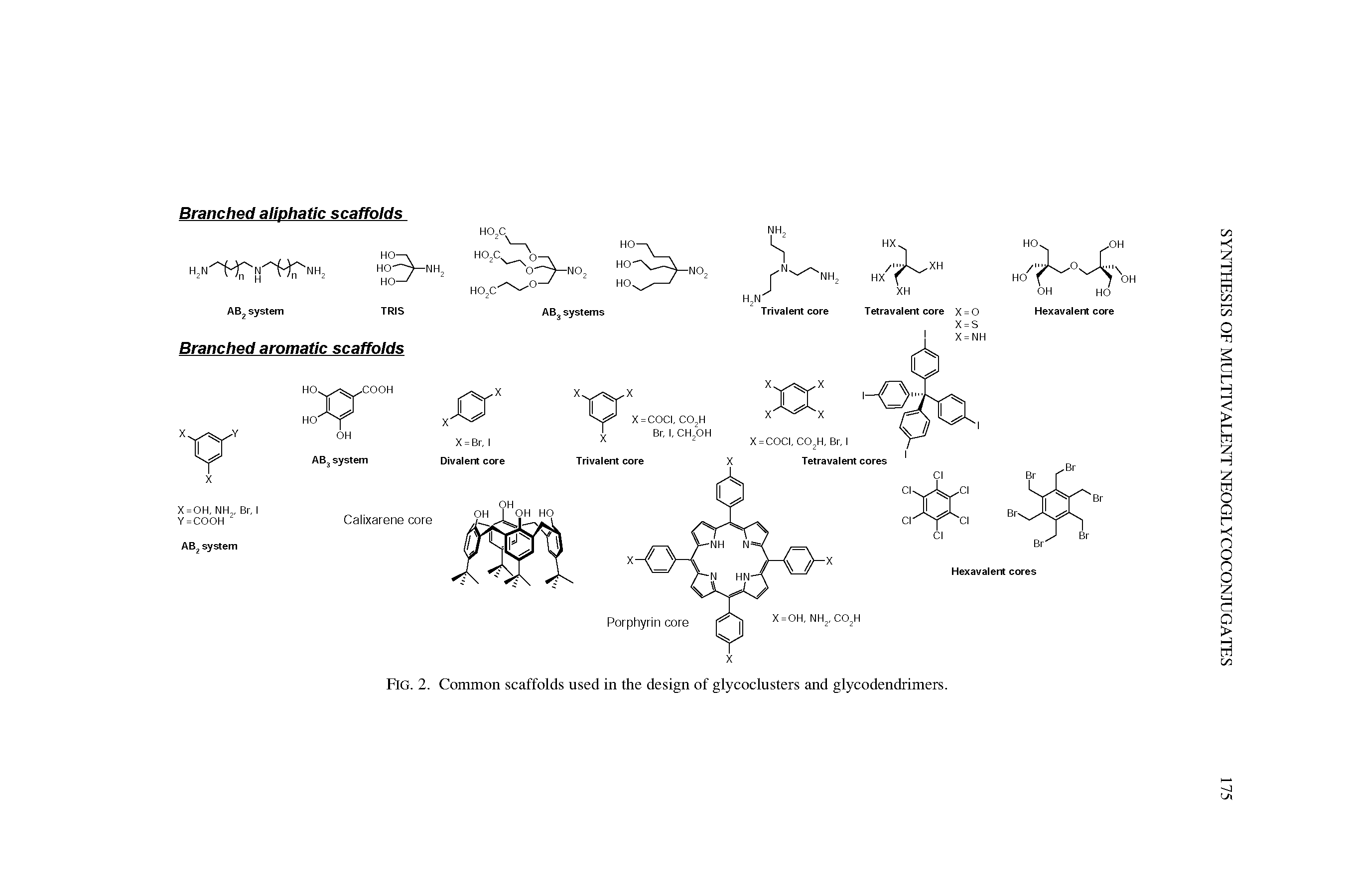 Fig. 2. Common scaffolds used in the design of glycoclusters and glycodendrimers.