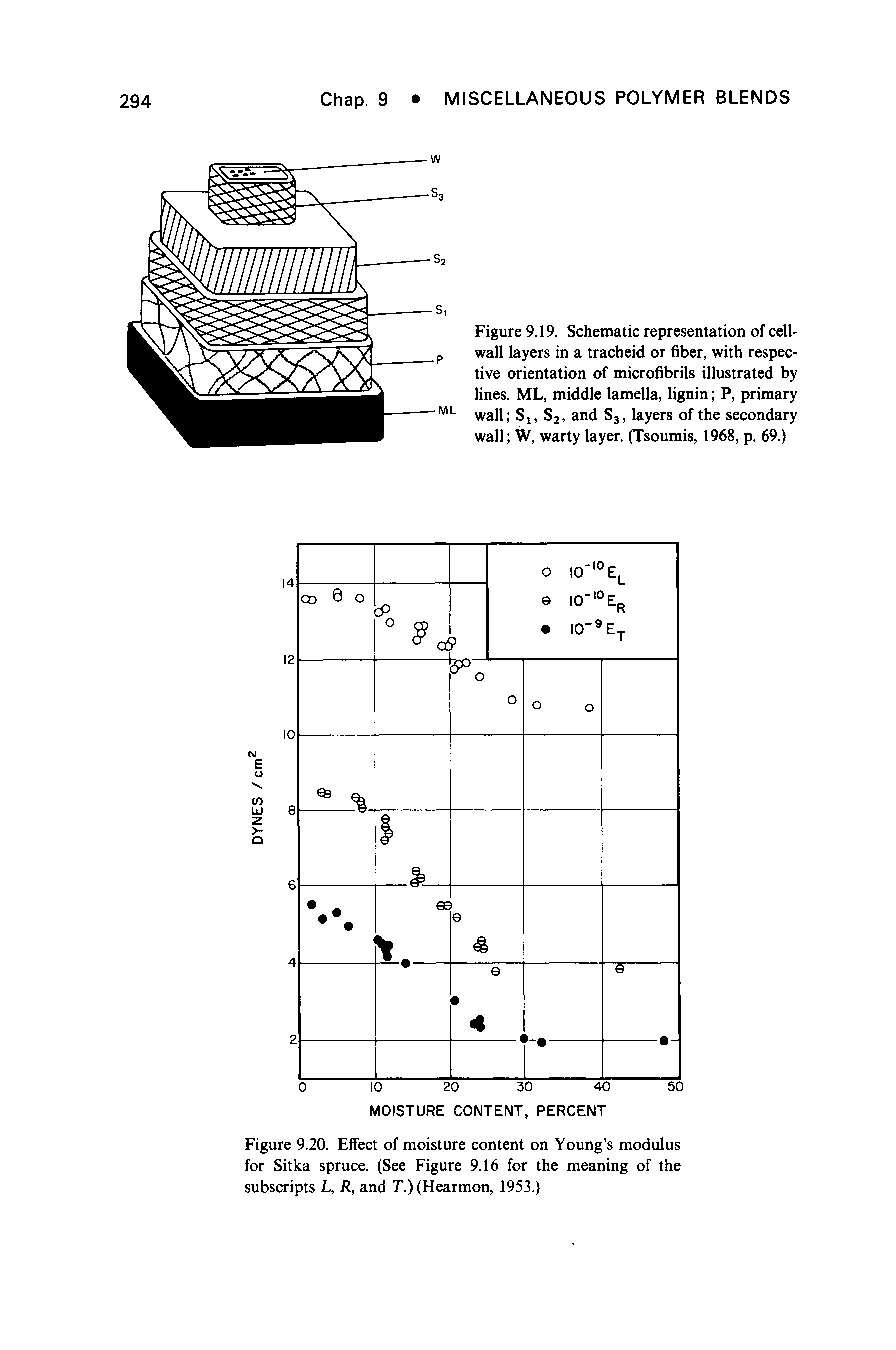 Figure 9.19. Schematic representation of cell-wall layers in a tracheid or fiber, with respective orientation of microfibrils illustrated by lines. ML, middle lamella, lignin P, primary wall Sj, S2, and S3, layers of the secondary wall W, warty layer. (Tsoumis, 1968, p. 69.)...