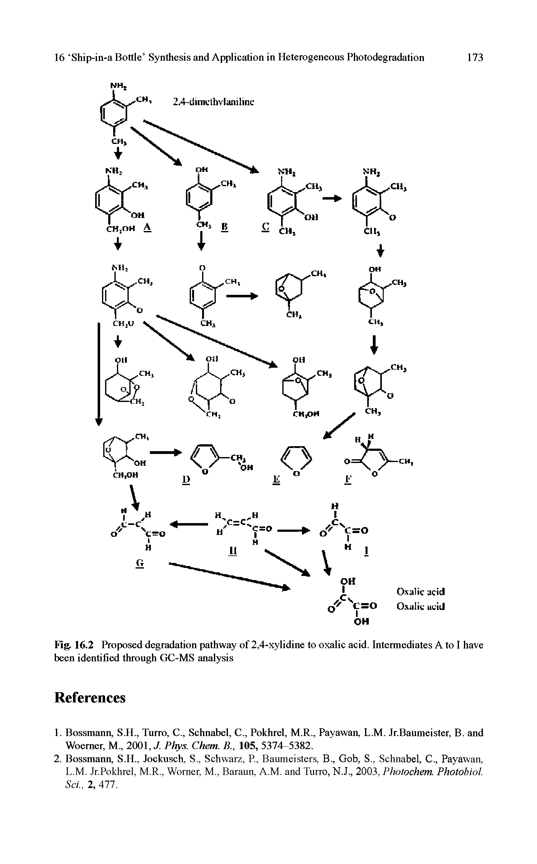 Fig. 16.2 Proposed degradation pathway of 2,4-xylidine to oxalic acid. Intermediates A to I have been identified through GC-MS analysis...