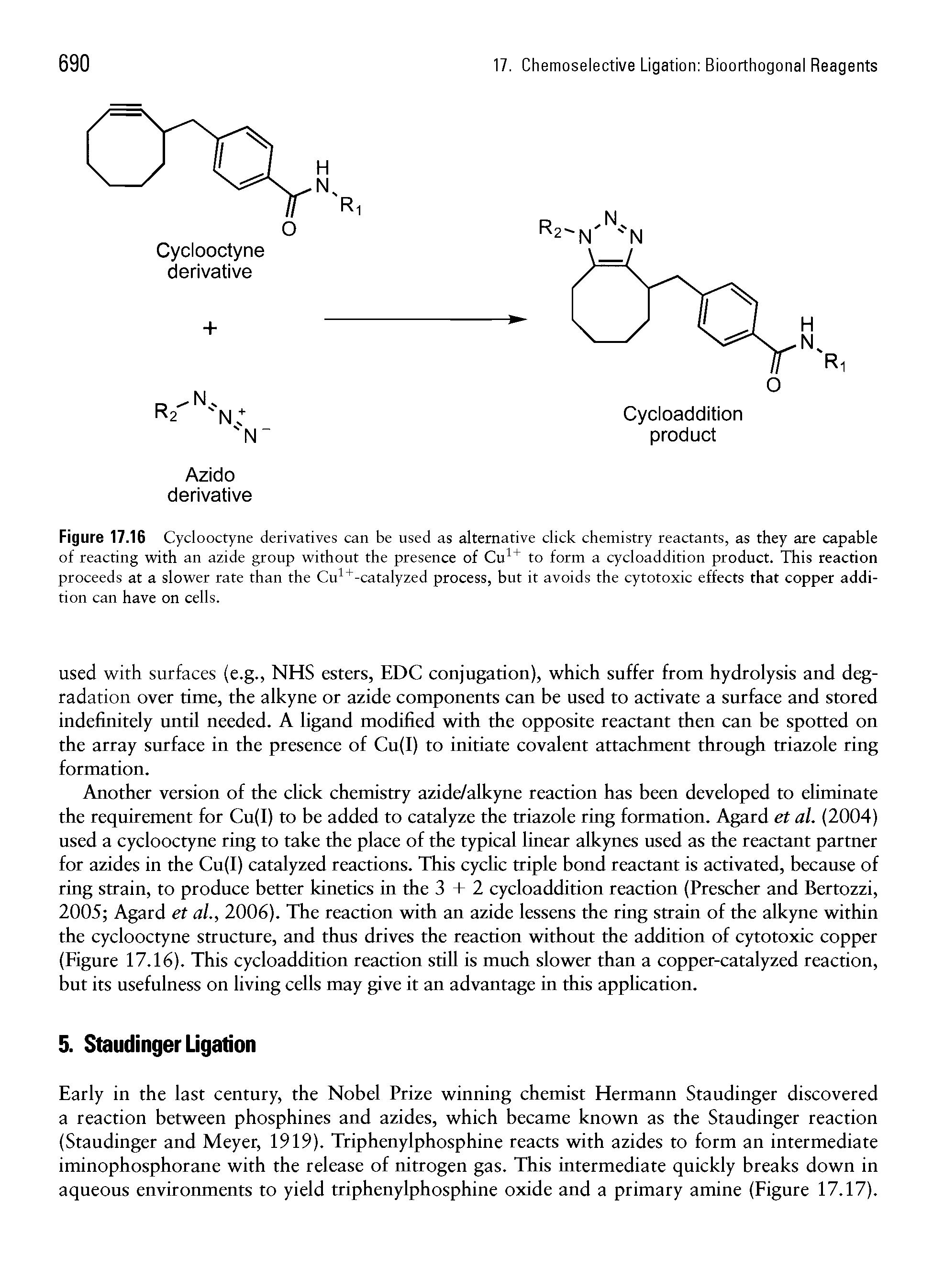 Figure 17.16 Cyclooctyne derivatives can be used as alternative click chemistry reactants, as they are capable of reacting with an azide group without the presence of Cu1+ to form a cycloaddition product. This reaction proceeds at a slower rate than the Cu1+-catalyzed process, but it avoids the cytotoxic effects that copper addition can have on cells.