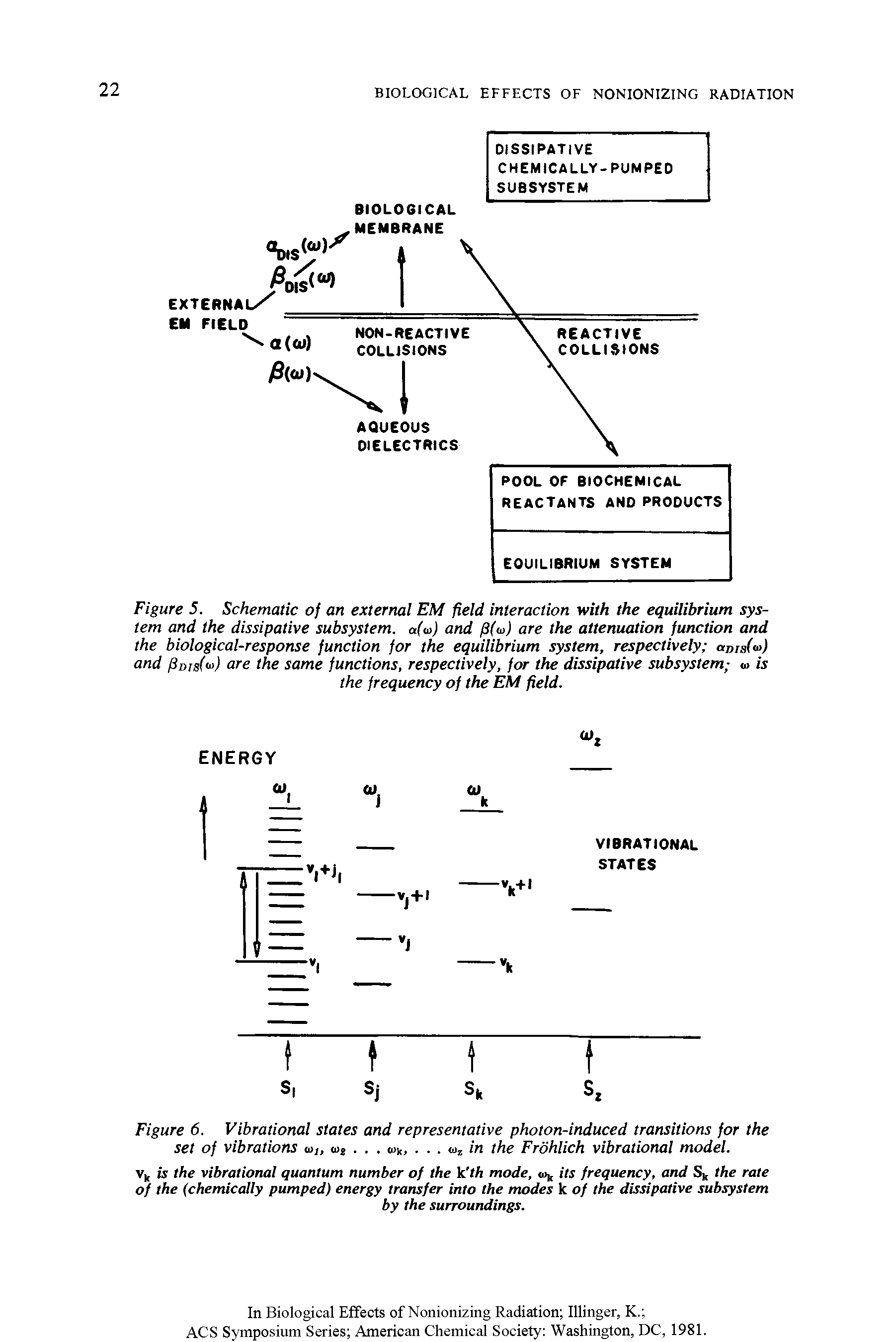 Figure 5. Schematic of an external EM field interaction with the equilibrium system and the dissipative subsystem. a(w) and are the attenuation function and the biological-response function for the equilibrium system, respectively aBIsM and [hns(i ) are the same functions, respectively, for the dissipative subsystem,- m is the frequency of the EM field.