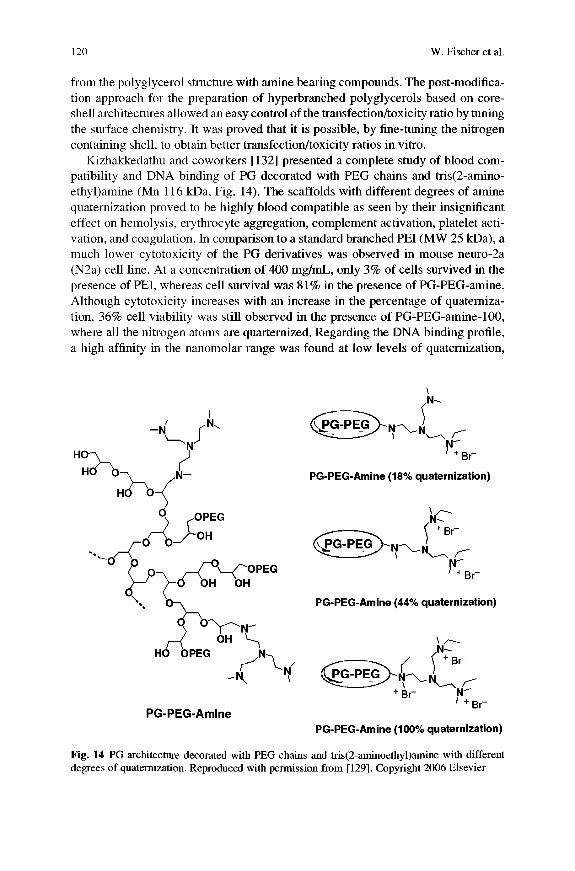 Fig. 14 PG architecture decorated with PEG chains and tris(2-aminoethyl)amine with different degrees of quatemization. Reproduced with permission from [129]. Copyright 2006 Elsevier...