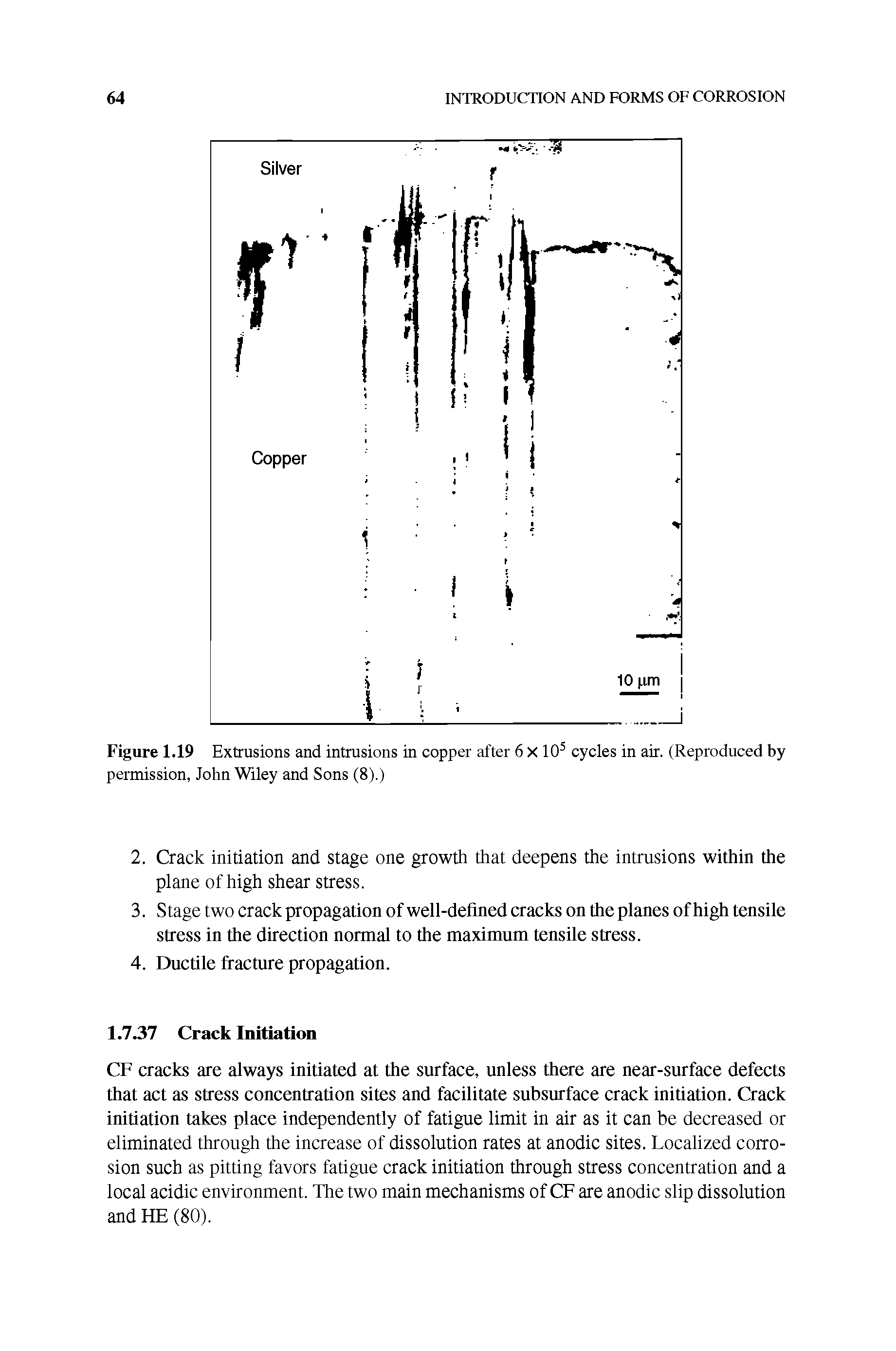 Figure 1.19 Extrusions and intrusions in copper after 6 X 10 cycles in air. (Reproduced by permission, John Wiley and Sons (8).)...