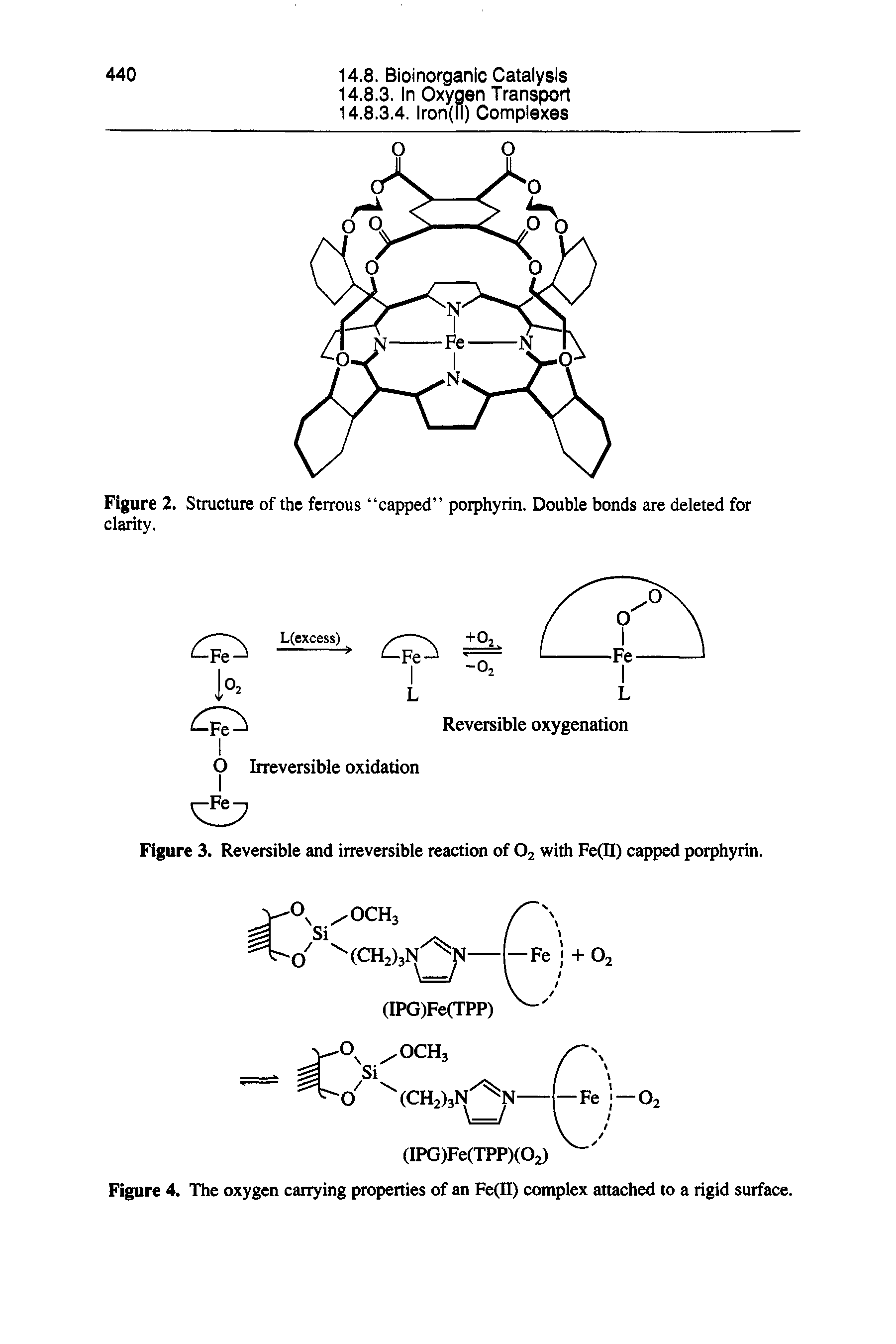 Figure 3. Reversible and irreversible reaction of O2 with Fe(Ii) capped porphyrin.