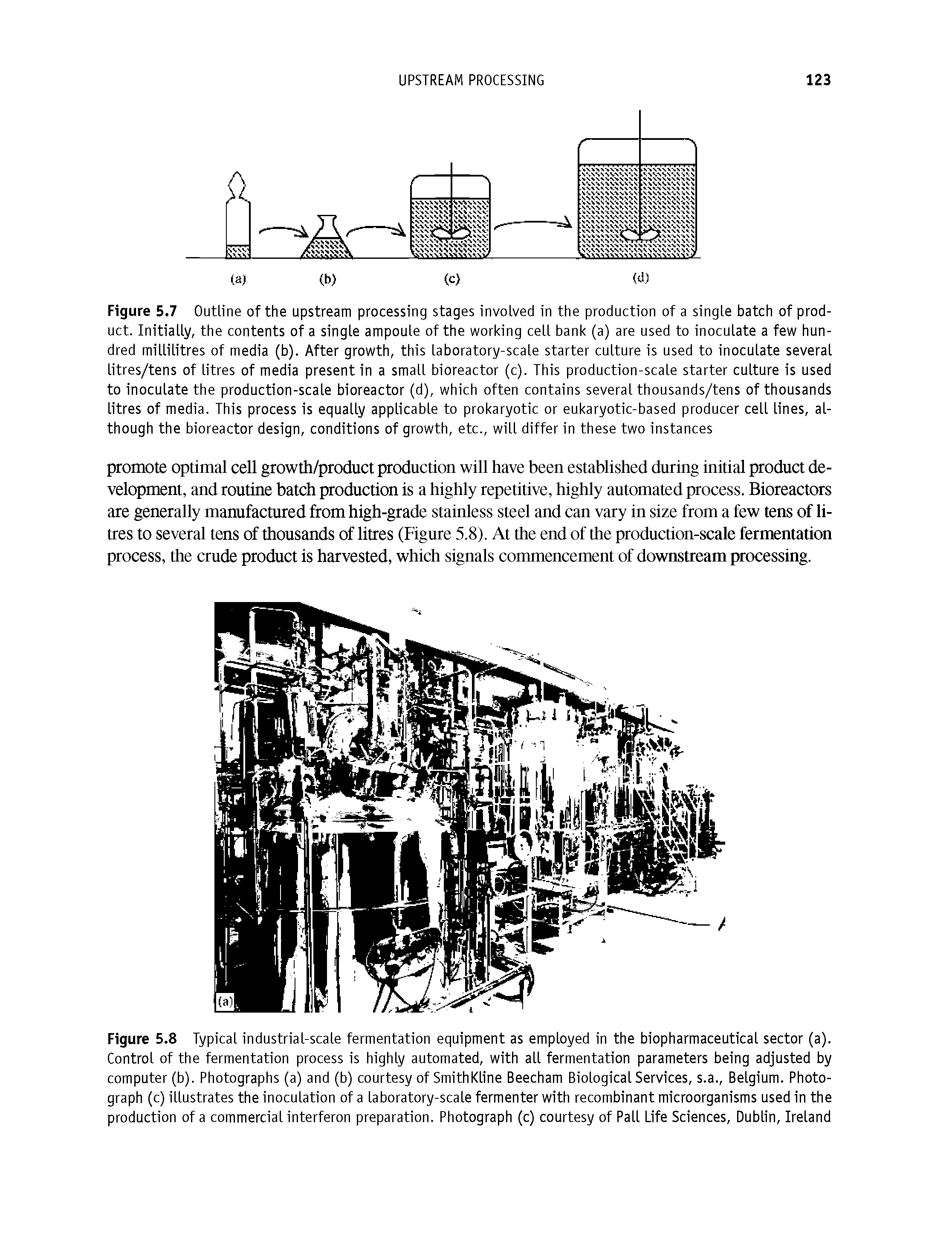 Figure 5.8 Typical industrial-scale fermentation equipment as employed in the biopharmaceutical sector (a). Control of the fermentation process is highly automated, with all fermentation parameters being adjusted by computer (b). Photographs (a) and (b) courtesy of SmithKline Beecham Biological Services, s.a., Belgium. Photograph (c) illustrates the inoculation of a laboratory-scale fermenter with recombinant microorganisms used in the production of a commercial interferon preparation. Photograph (c) courtesy of Pall Life Sciences, Dublin, Ireland...