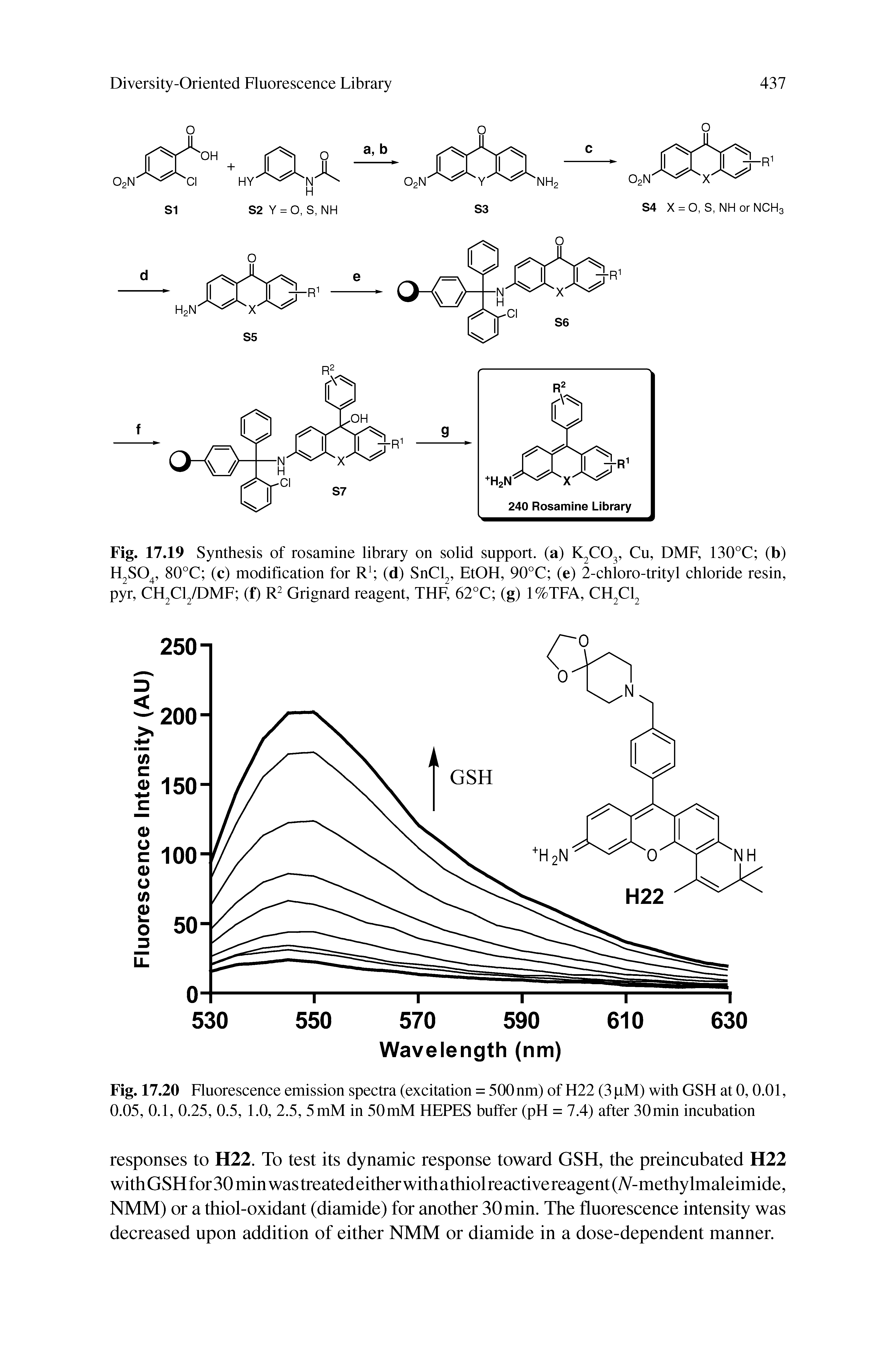 Fig. 17.19 Synthesis of rosamine library on solid support, (a) K2C03, Cu, DMF, 130°C (b) H2S04, 80°C (c) modification for R1 (d) SnCl2, EtOH, 90°C (e) 2-chloro-trityl chloride resin, pyr, CH2C12/DMF (f) R2 Grignard reagent, THF, 62°C (g) 1 %TFA, CH2C12...