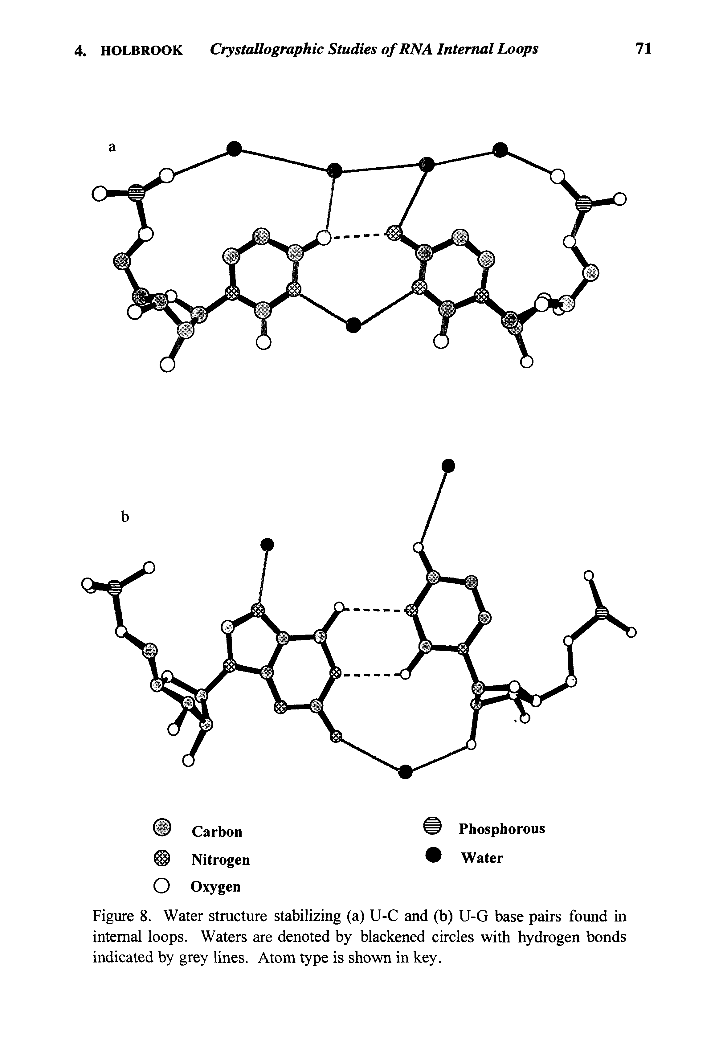Figure 8. Water structure stabilizing (a) U-C and (b) U-G base pairs found in internal loops. Waters are denoted by blackened circles with hydrogen bonds indicated by grey lines. Atom type is shown in key.