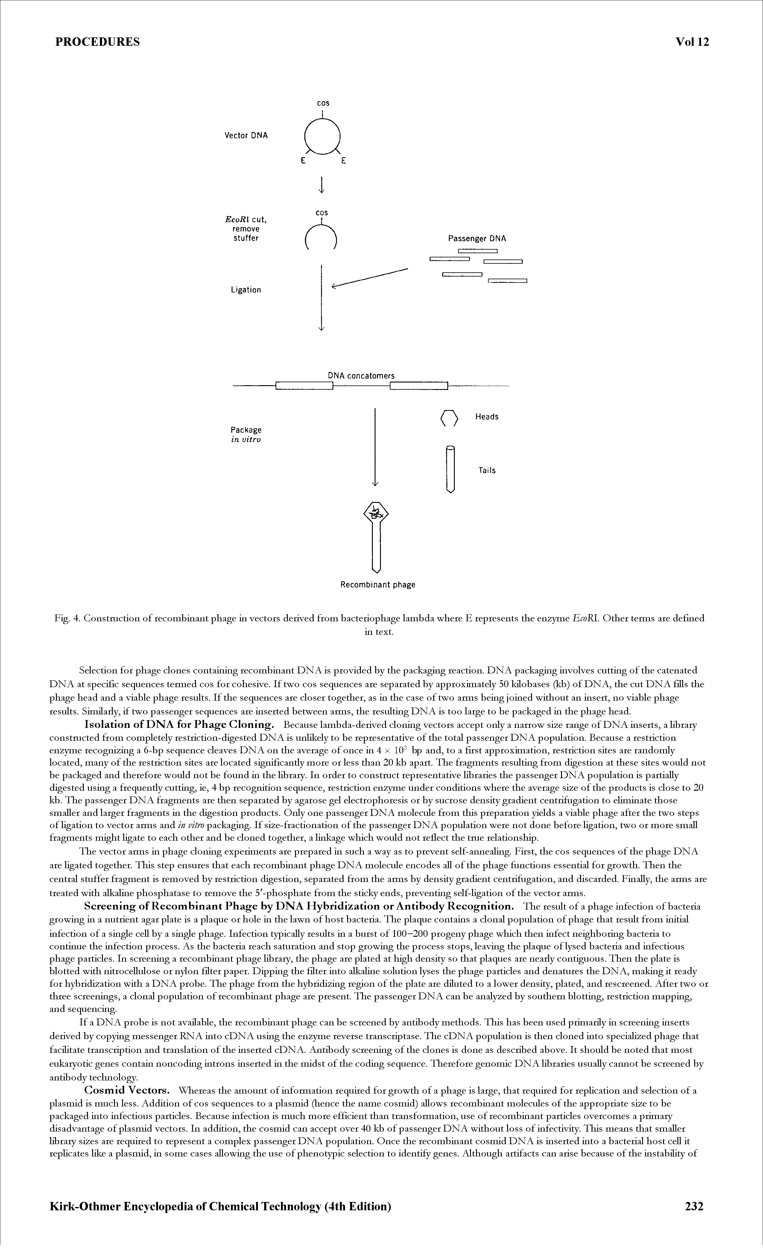 Fig. 4. Construction of recombinant phage in vectors derived from bacteriophage lambda where E represents the enzyme EcoRl. Other terms are defined...