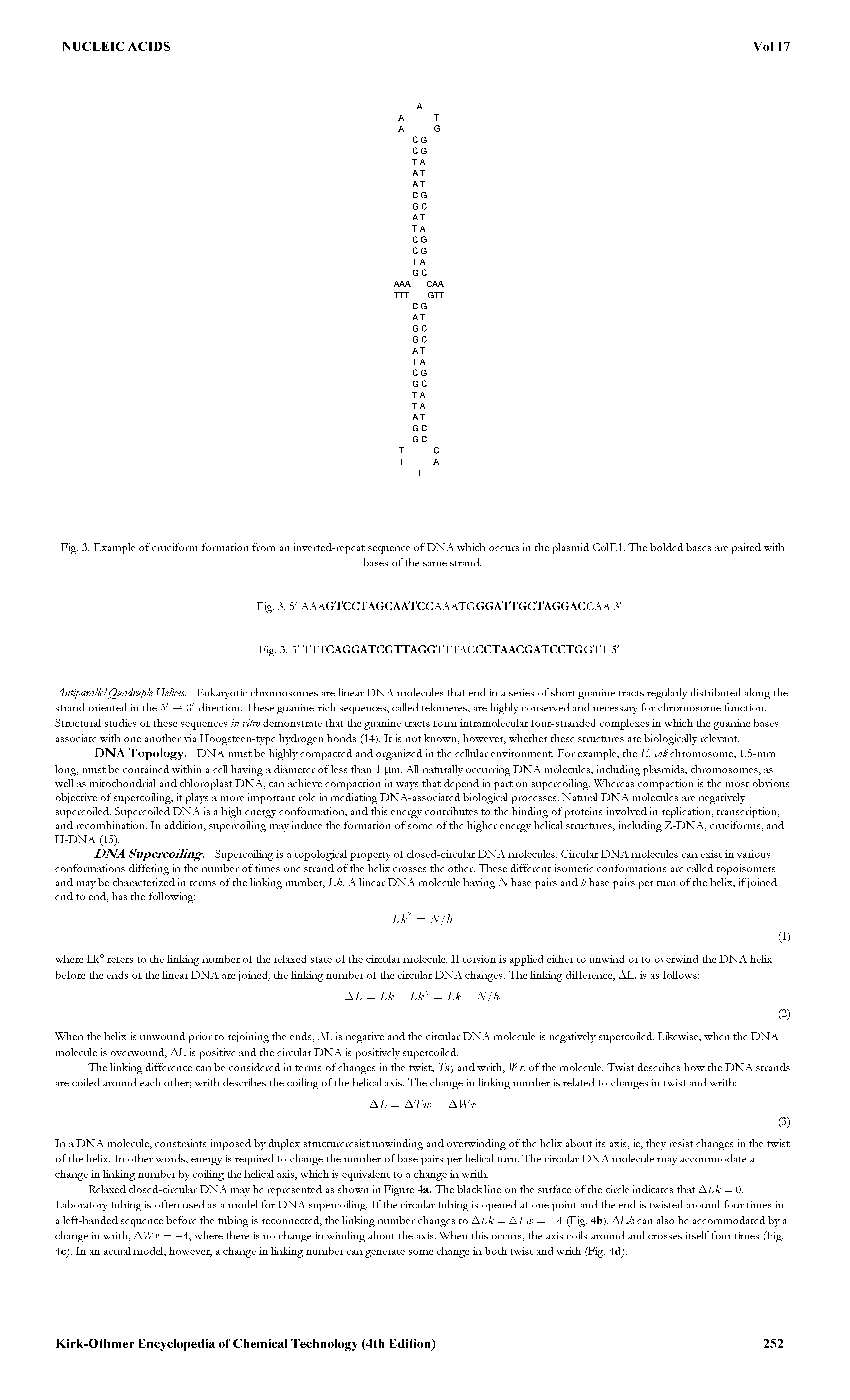 Fig. 3. Example of cniciform formation from an inverted-repeat sequence of DNA which occurs in the plasmid ColEl. The bolded bases are paired with...