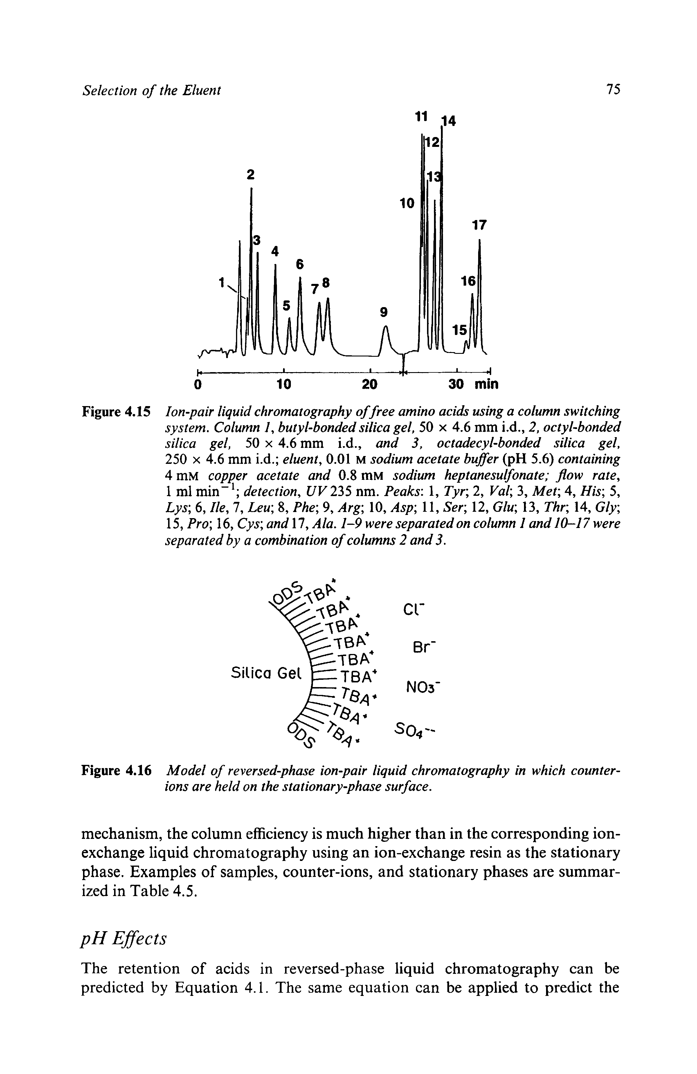 Figure 4.16 Model of reversed-phase ion-pair liquid chromatography in which counterions are held on the stationary-phase surface.