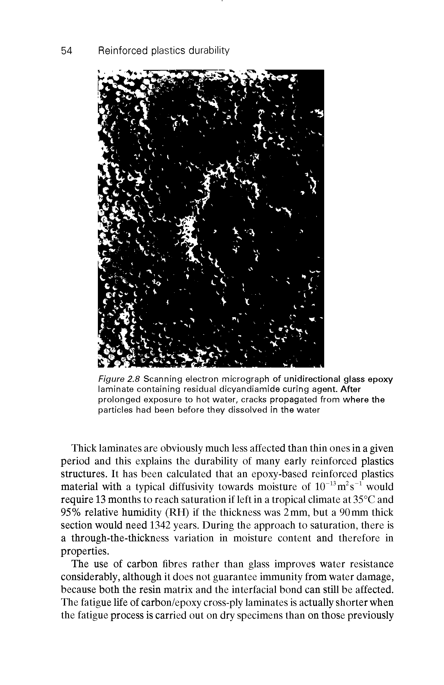 Figure 2.8 Scanning electron micrograph of unidirectional glass epoxy laminate containing residual dicyandiamide curing agent. After prolonged exposure to hot water, cracks propagated from where the particles had been before they dissolved in the water...