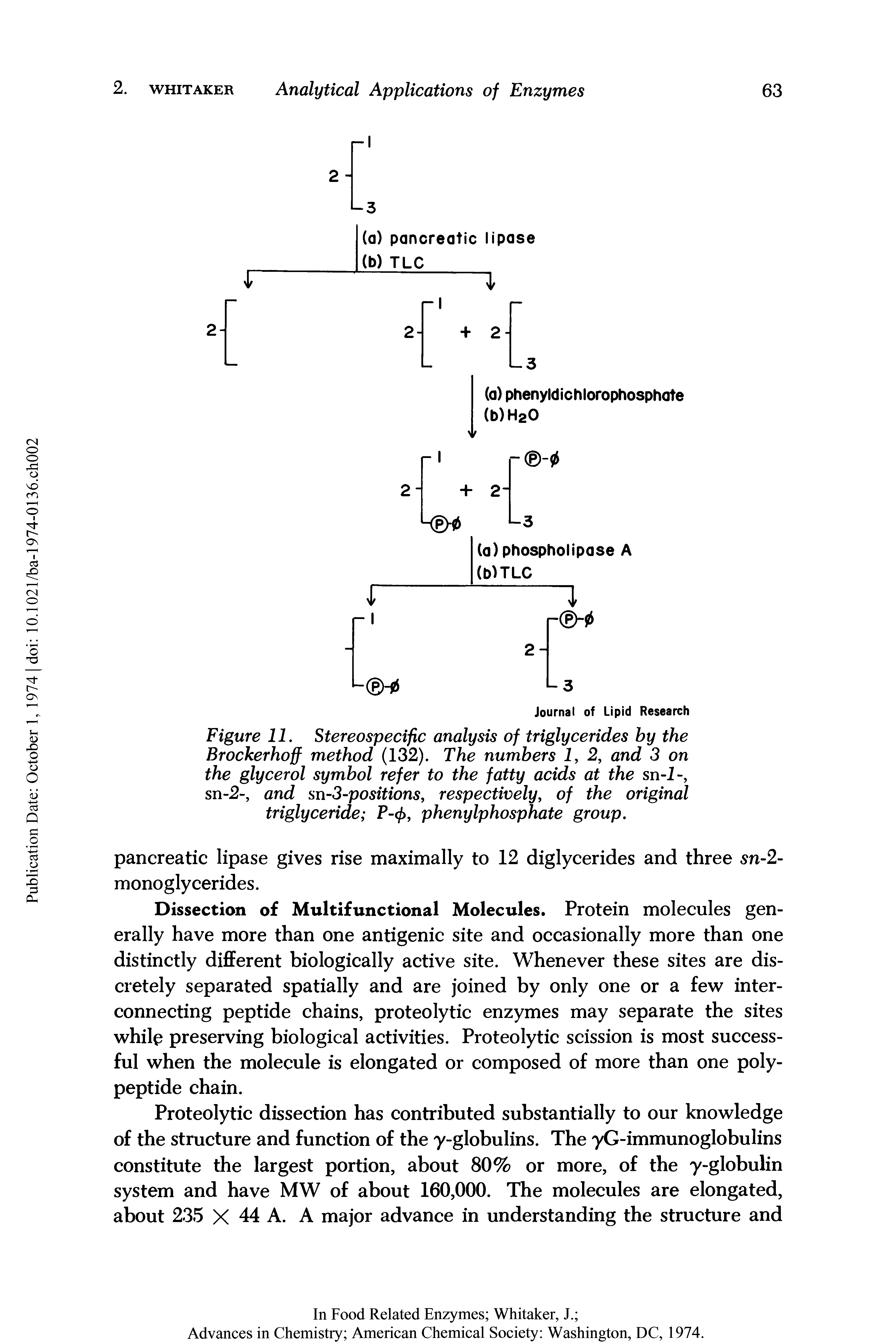 Figure 11. Stereospecific analysis of triglycerides by the Brockerhoff method (132). The numbers 1, 2, and 3 on the glycerol symbol refer to the fatty acids at the sn-I-, sn-2-, and sn-3-positions, respectively, of the original triglyceride phenylphosphate group.