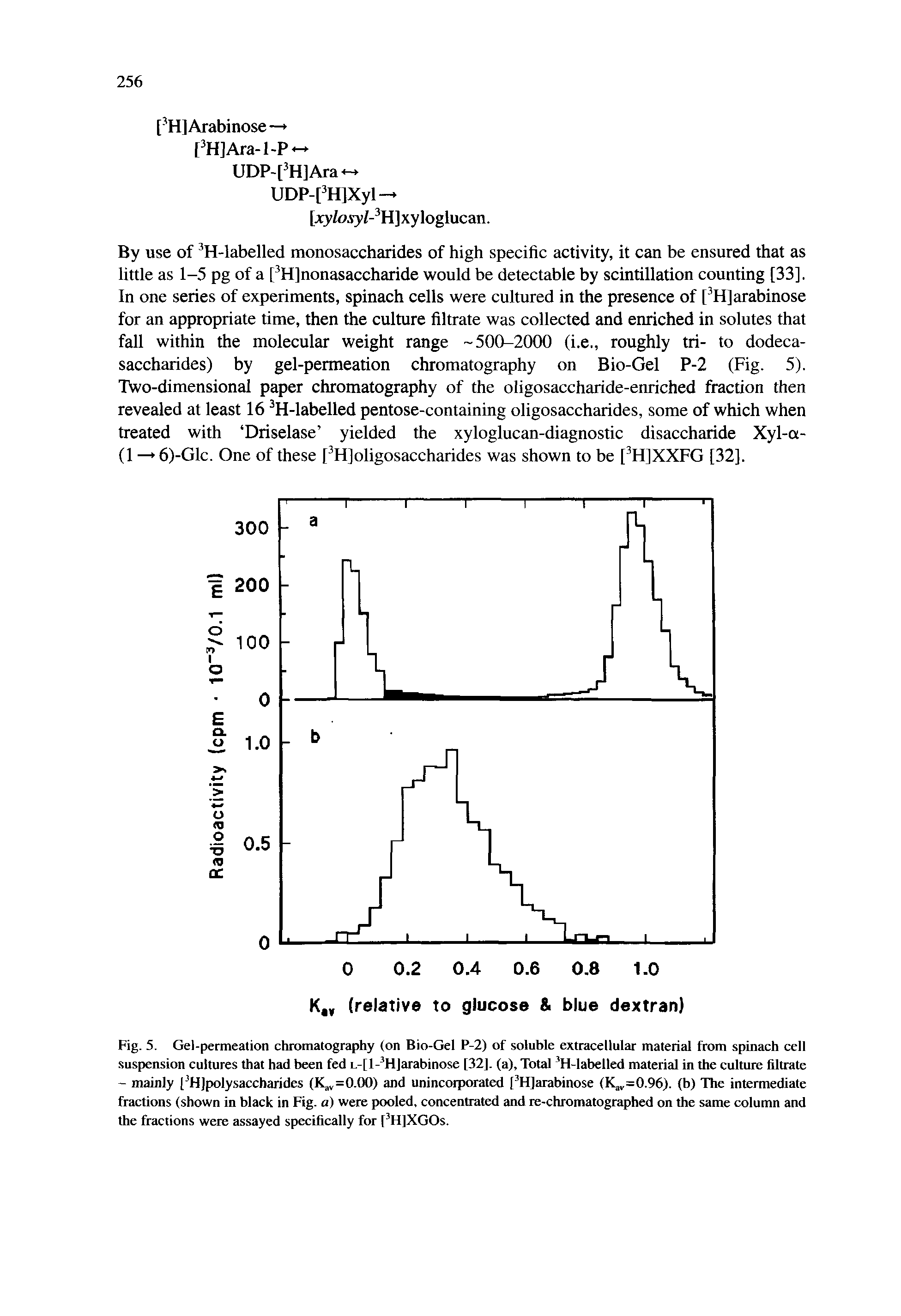 Fig. 5. Gel-permeation chromatography (on Bio-Gel P-2) of soluble extracellular material from spinach cell suspension cultures that had been fed L-[l- H]arabinose [32]. (a). Total H-labelled material in the culture filtrate - mainly [ Hjpolysaccharides (K. =0.00) and unincorporated [ HJarabinose (K,=0.96). (b) The intermediate fractions (shown in black in Fig. a) were pooled, concentrated and le-chromatographed on the same column and the fractions were assayed specifically for [ HjXGOs.
