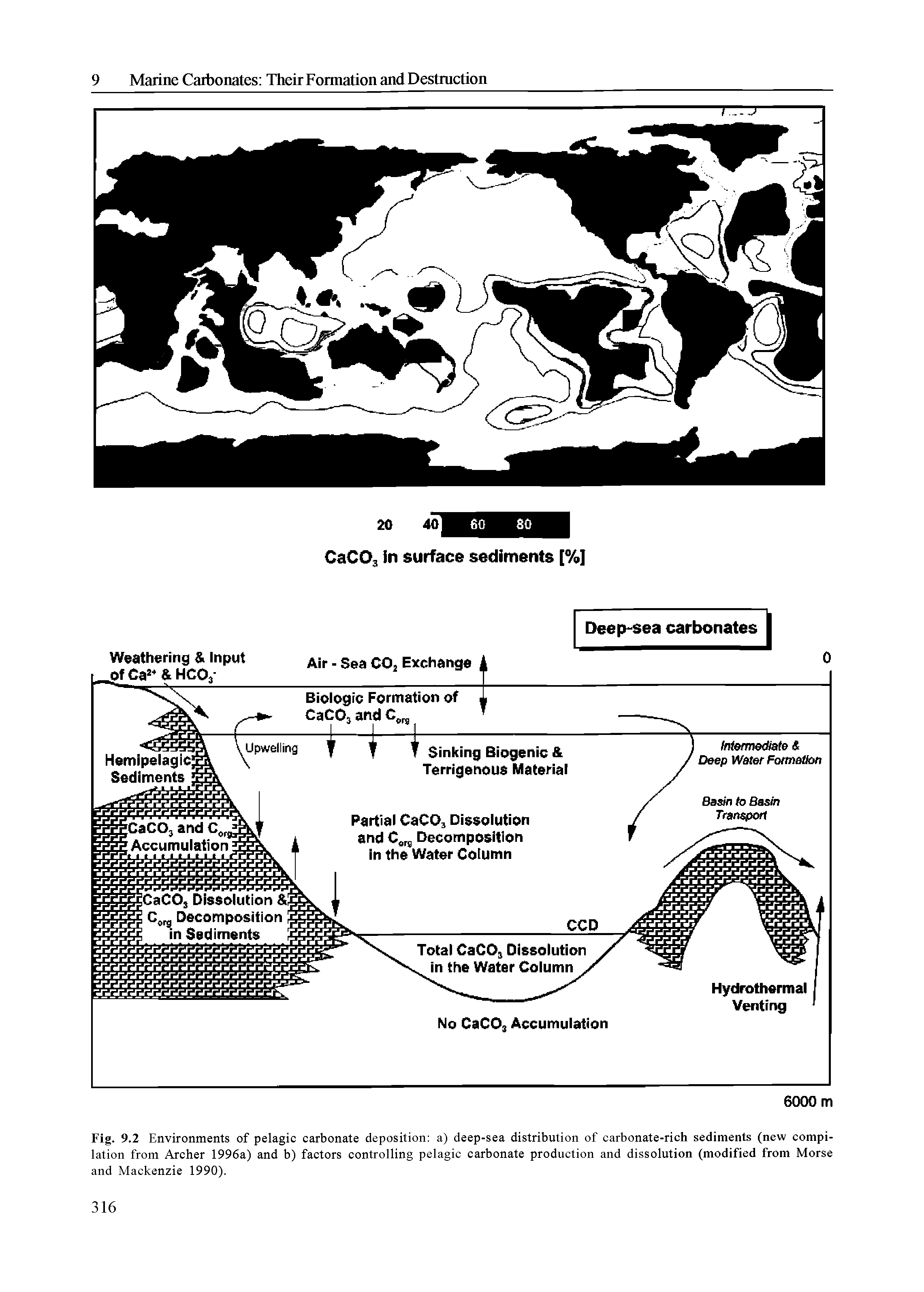 Fig. 9.2 Environments of pelagic carbonate deposition a) deep-sea distribution of carbonate-rich sediments (new compilation from Archer 1996a) and b) factors controlling pelagic carbonate production and dissolution (modified from Morse and Mackenzie 1990).
