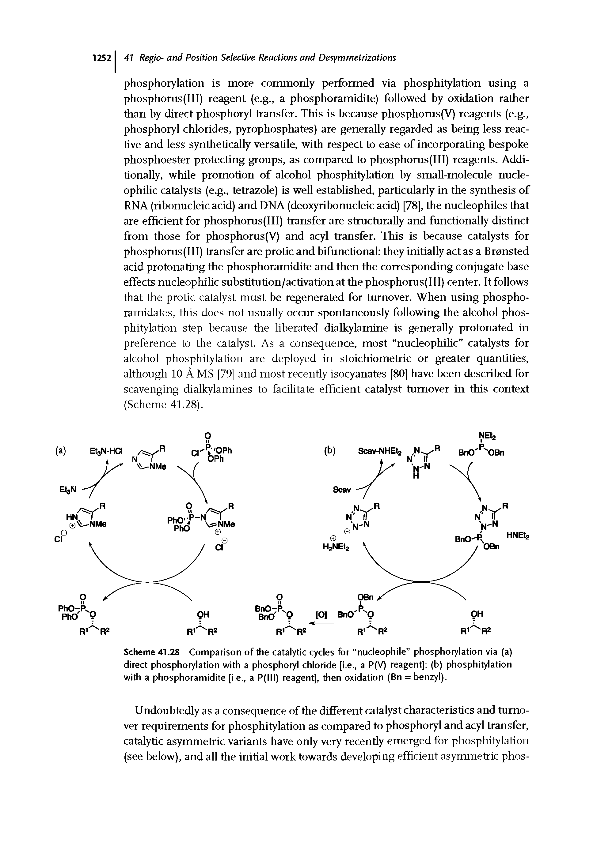 Scheme 41.28 Comparison of the catalytic cycles for nucleophile phosphorylation via (a) direct phosphorylation with a phosphoryl chloride [i.e., a P(V) reagent] (b) phosphitylation with a phosphoramidite [i.e., a P(lll) reagent], then oxidation (Bn = benzyl).