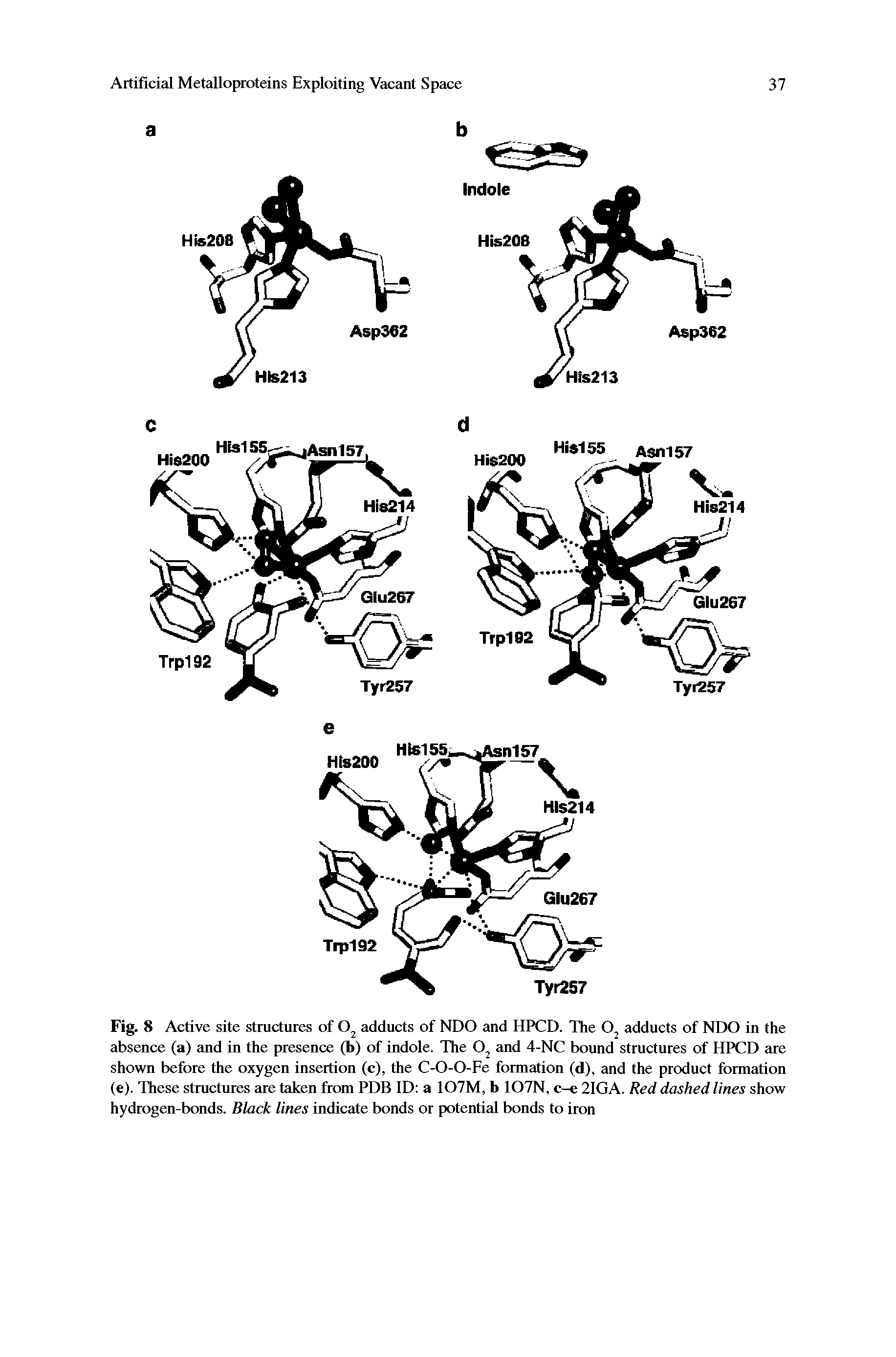 Fig. 8 Active site structures of adducts of NDO and HPCD. The adducts of NDO in the absence (a) and in the presence (b) of indole. The and 4-NC bound structures of HPCD are shown before the oxygen insertion (c), the C-O-O-Fe formation (d), and the product formation (e). These structures are taken from PDB ID a 107M, b 107N, c-e 2IGA. Red dashed lines show hydrogen-bonds. Black lines indicate bonds or potential bonds to iron...