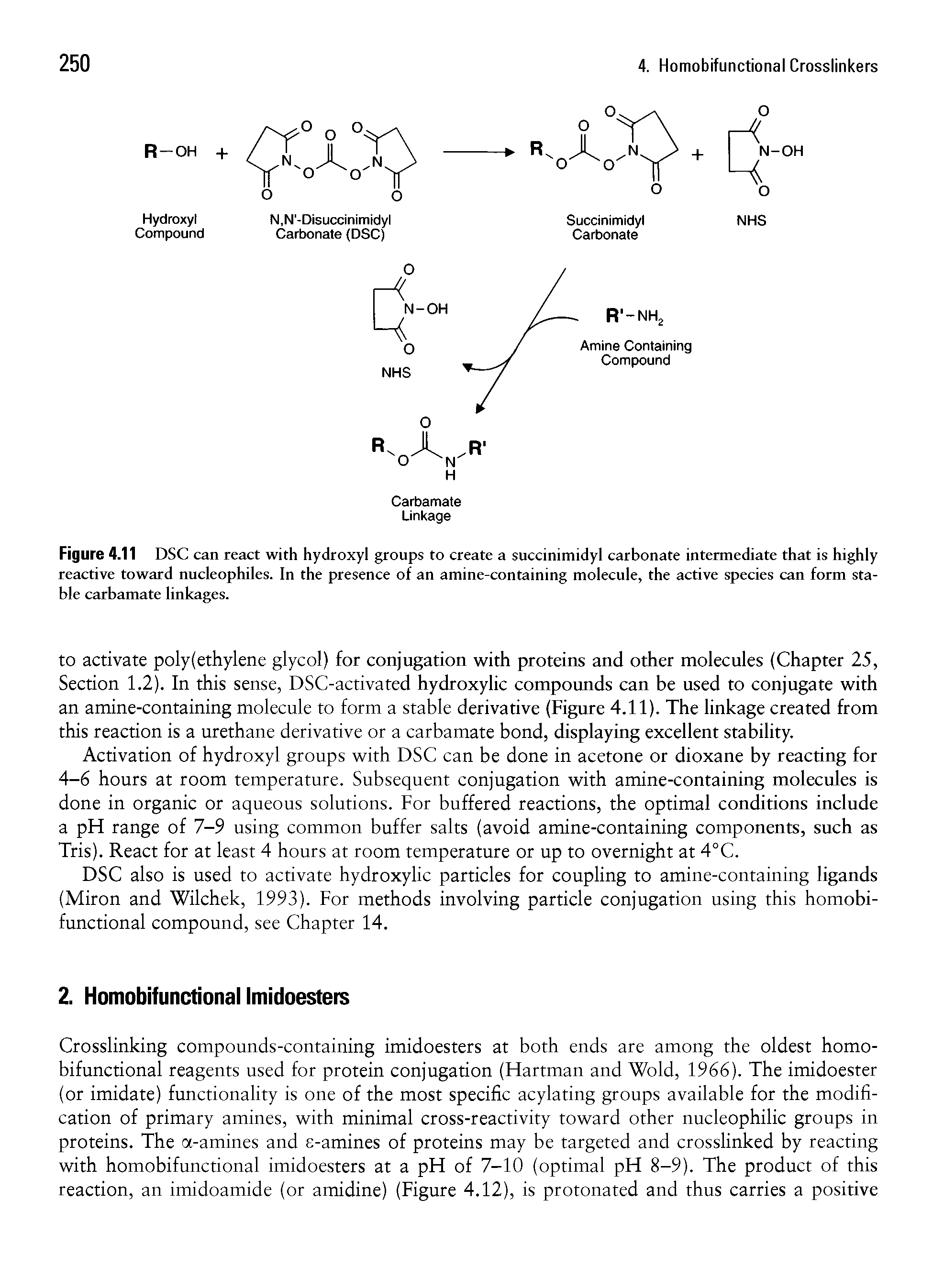 Figure 4.11 DSC can react with hydroxyl groups to create a succinimidyl carbonate intermediate that is highly reactive toward nucleophiles. In the presence of an amine-containing molecule, the active species can form stable carbamate linkages.