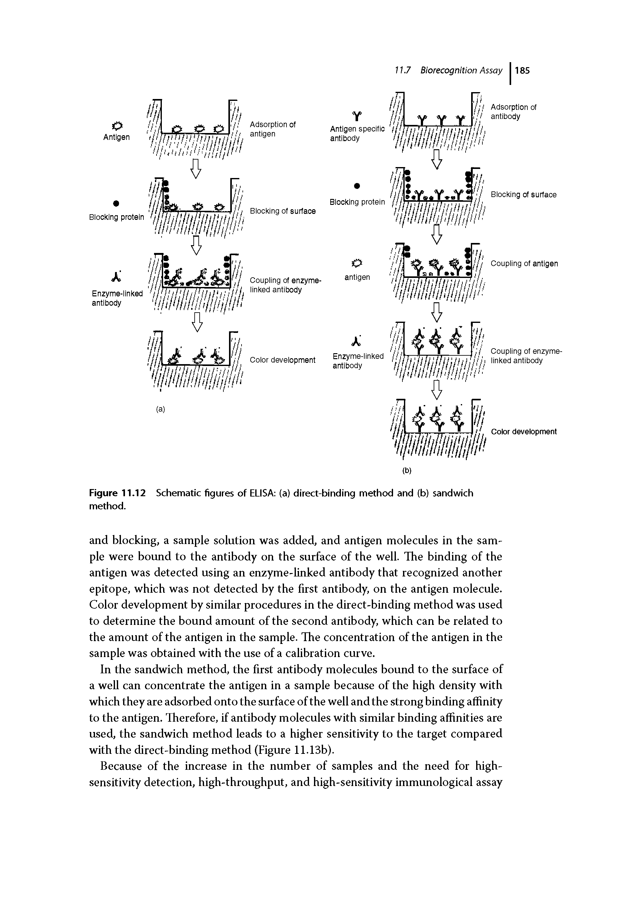 Figure 11.12 Schematic figures of ELISA (a) direct-binding method and (b) sandwich method.