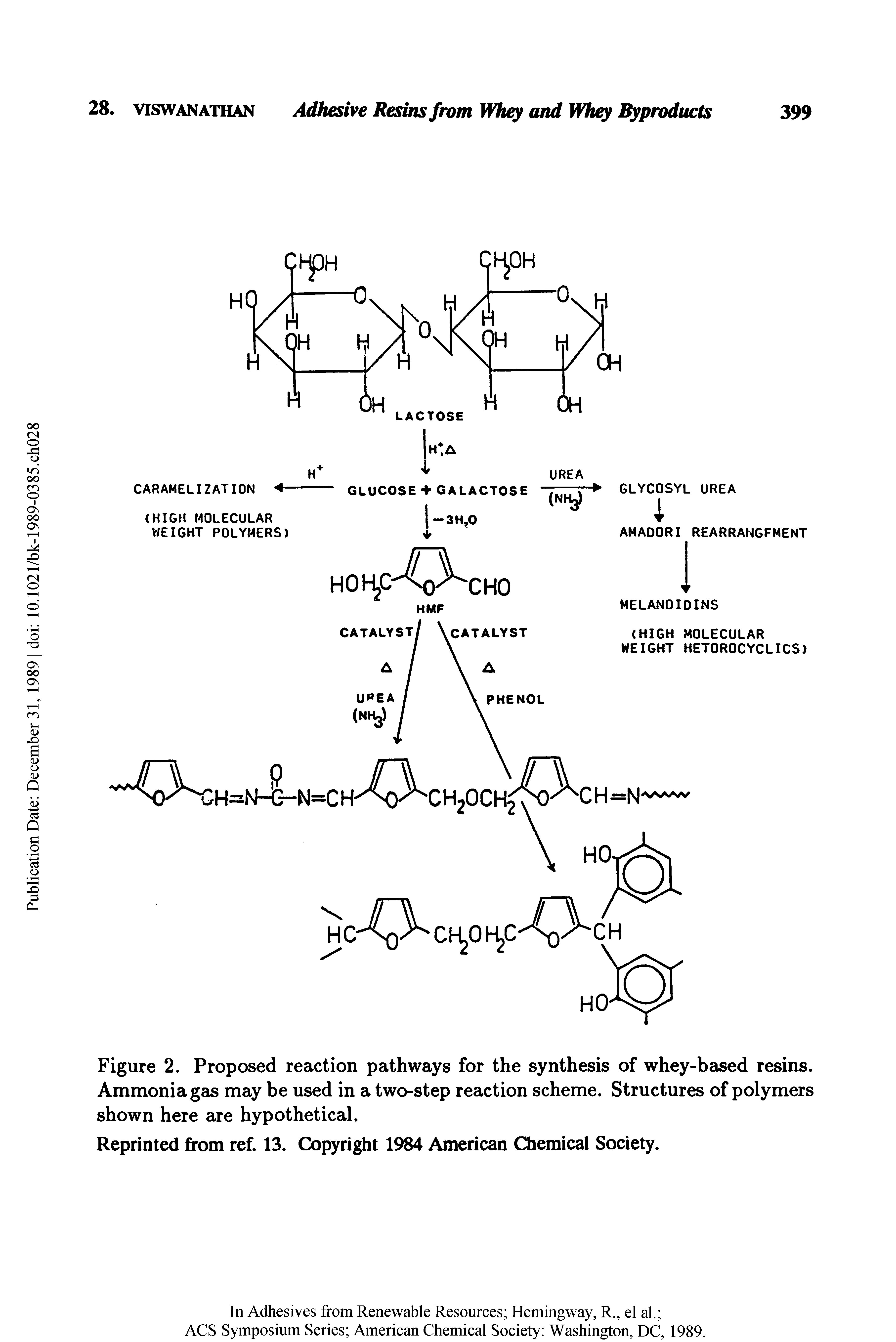 Figure 2. Proposed reaction pathways for the synthesis of whey-based resins. Ammonia gas may be used in a two-step reaction scheme. Structures of polymers shown here are hypothetical.