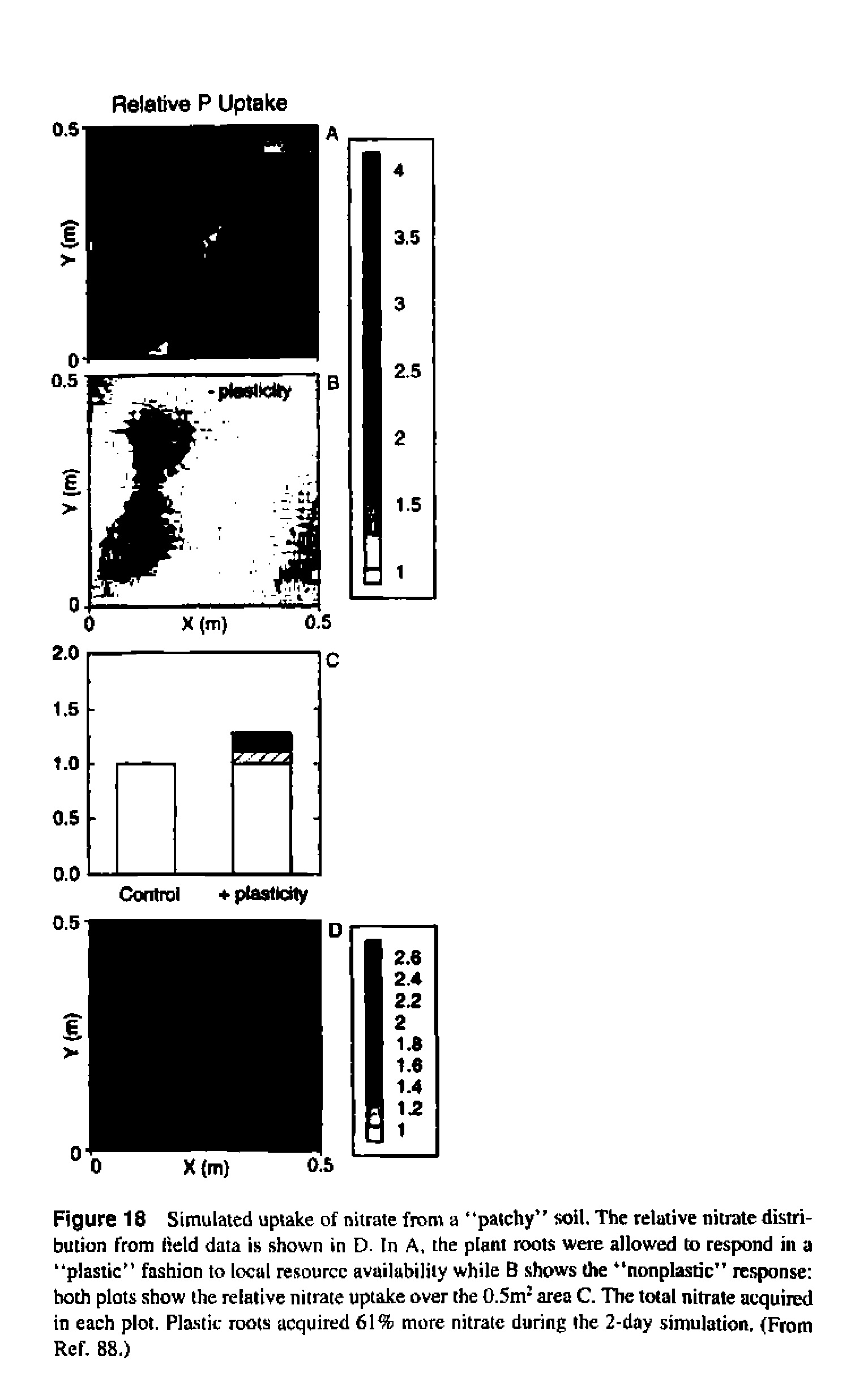 Figure 18 Simulated uptake of nitrate from a "patchy soil. The relative nitrate distribution from held data is shown in D. In A, the plant roots were allowed to respond in a plastic fashion to local resource availability while B shows the nonplastic response both plots show the relative nitrate uptake over the 0.5m area C. The total nitrate acquired in each plot. Pla-stic roots acquired 61% more nitrate during the 2-day simulation, (From Ref. 88.)...
