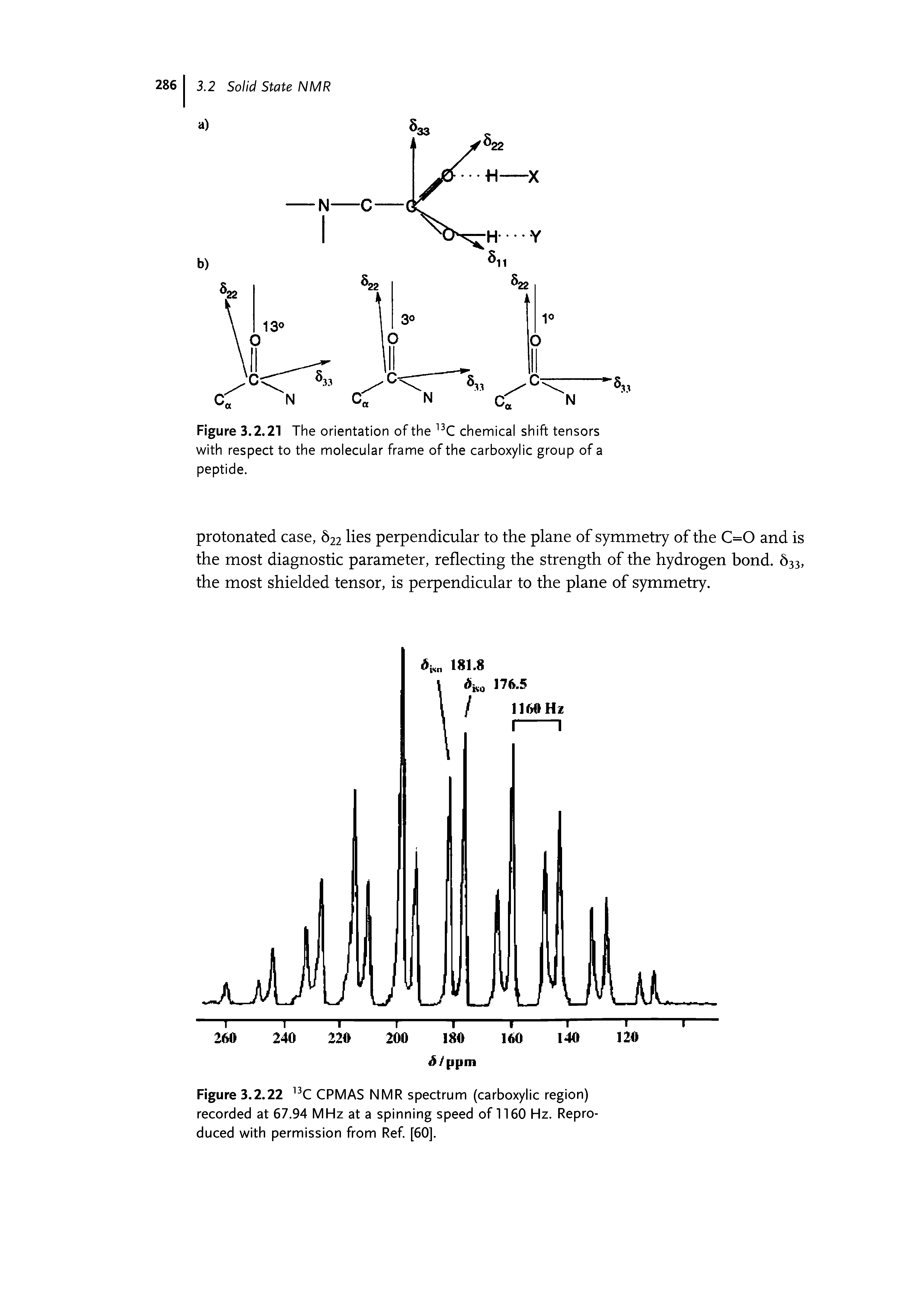 Figure 3.2.21 The orientation of the 13C chemical shift tensors with respect to the molecular frame of the carboxylic group of a peptide.