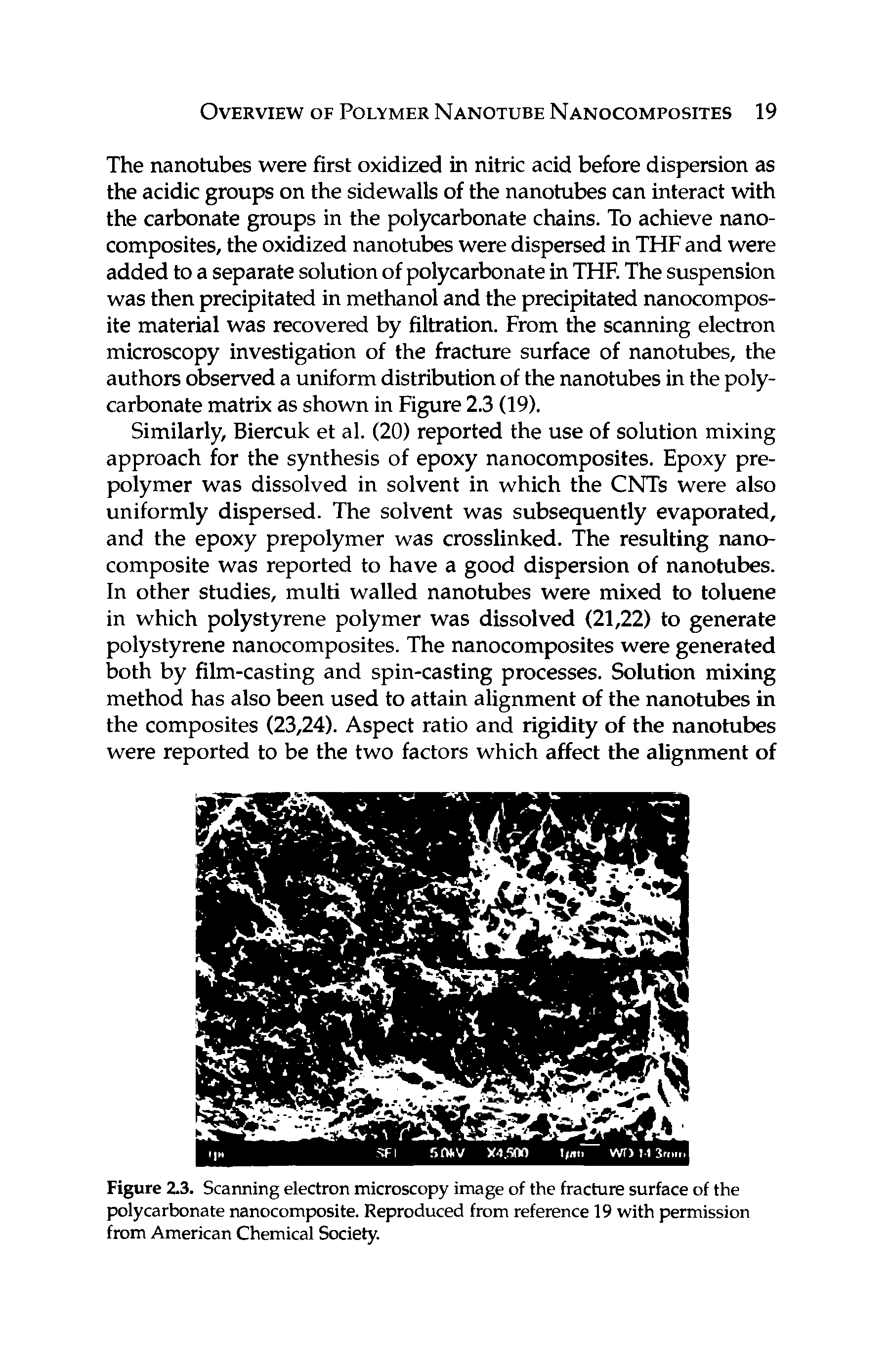 Figure 2.3. Scanning electron microscopy image of the fracture surface of the polycarbonate nanocomposite. Reproduced from reference 19 with permission from American Chemical Society.