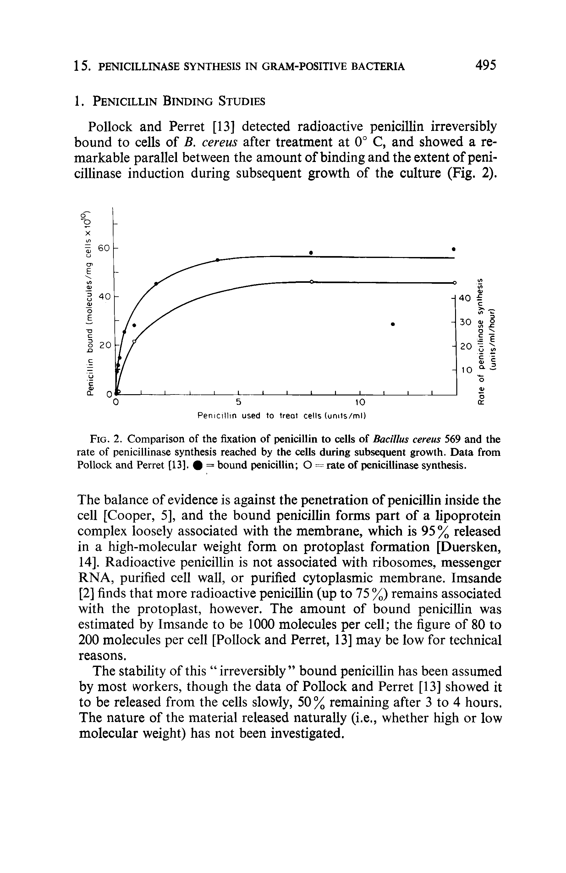 Fig. 2. Comparison of the fixation of penicillin to cells of Bacillus cereus 569 and the rate of penicillinase synthesis reached by the cells during subsequent growth. Data from Pollock and Perret [13]. = bound penicillin O = rate of penicillinase synthesis.