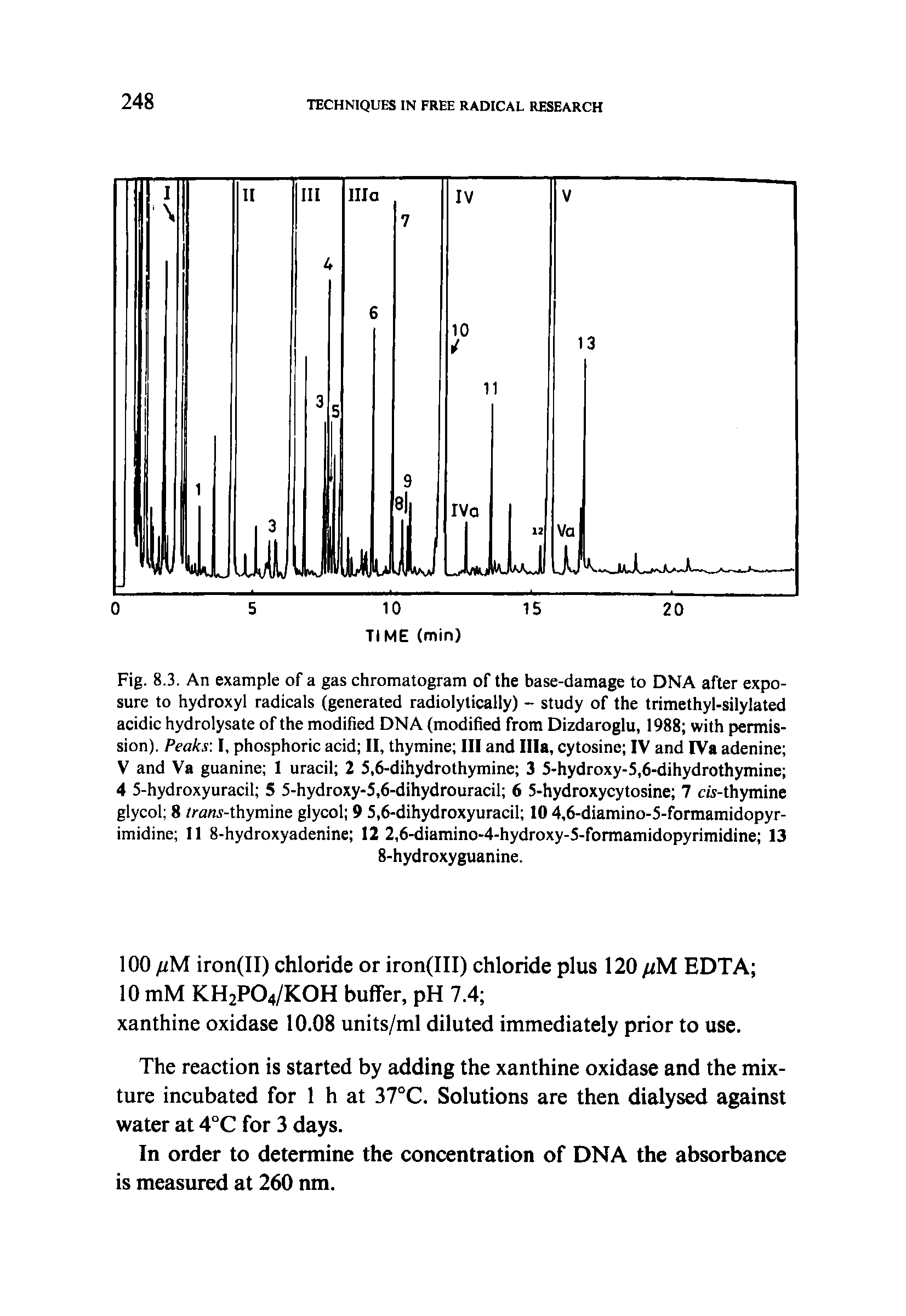 Fig. 8.3. An example of a gas chromatogram of the base-damage to DNA after exposure to hydroxyl radicals (generated radiolytically) - study of the trimethyl-silylated acidic hydrolysate of the modified DNA (modified from Dizdaroglu, 1988 with permission). Peaks I, phosphoric acid II, thymine III and Ilia, cytosine IV and IVa adenine V and Va guanine I uracil 2 5,6-dihydrothymine 3 5-hydroxy-5,6-dihydrothymine 4 5-hydroxyuracil 5 5-hydroxy-5,6-dihydrouracil 6 5-hydroxycytosine 7 cis-thymine glycol 8 /ra .s-thymine glycol 9 5,6-dihydroxyuracil 10 4,6-diamino-5-formamidopyr-imidine 11 8-hydroxyadenine 12 2,6-diamino-4-hydroxy-5-formamidopyrimidine 13...