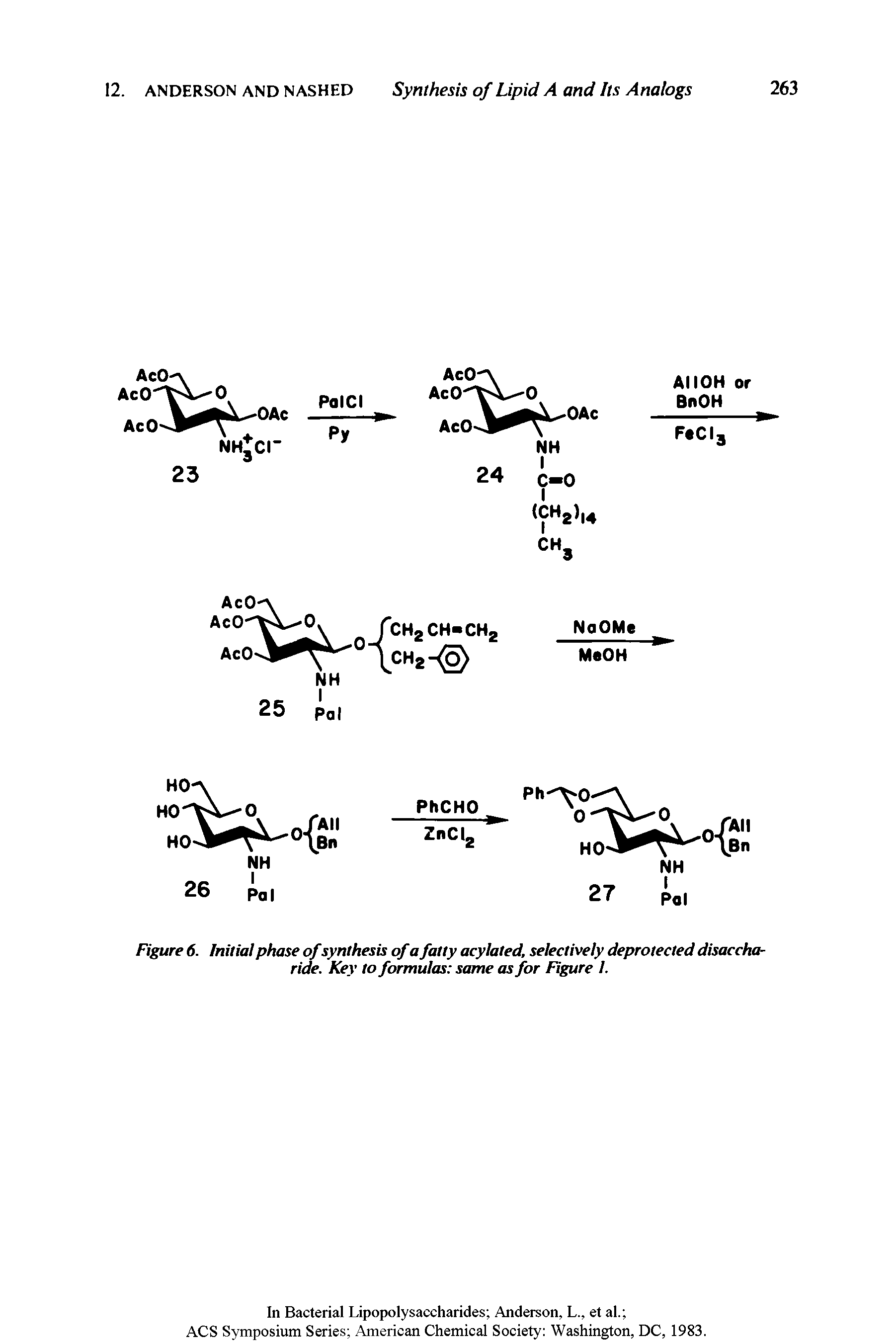 Figure 6. Initial phase ofsynthesis of a fatty acylated, selectively deprotected disaccharide. Key to formulas same as for Figure I.
