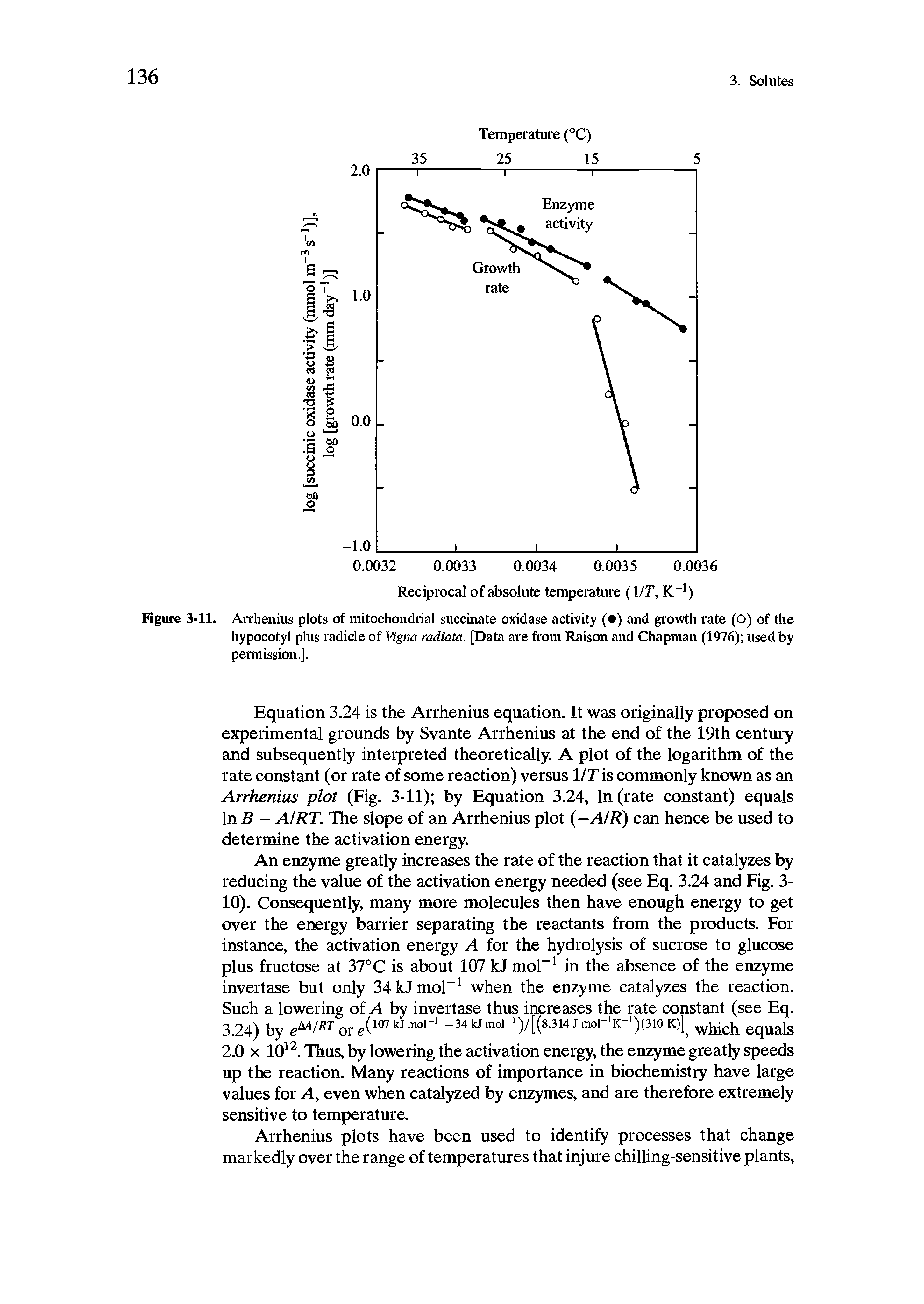 Figure 3-11. Arrhenius plots of mitochondrial succinate oxidase activity ( ) and growth rate (O) of the hypocotyl plus radicle of Vigna radiata. [Data are from Raison and Chapman (1976) used by permission.].