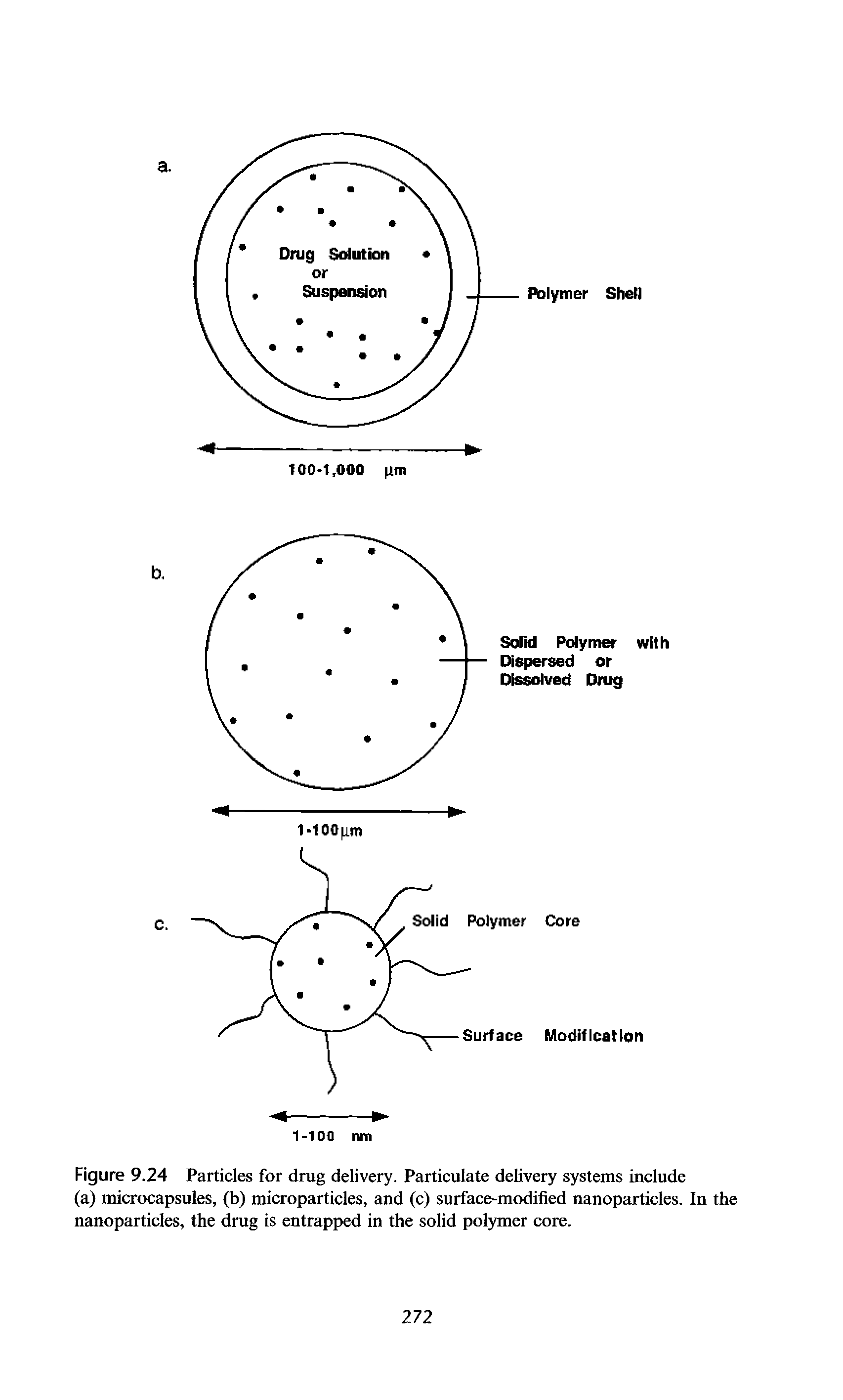 Figure 9.24 Particles for drug delivery. Particulate delivery systems include (a) microcapsules, (b) microparticles, and (c) surface-modified nanoparticles. In the nanoparticles, the drug is entrapped in the solid pol)mier core.