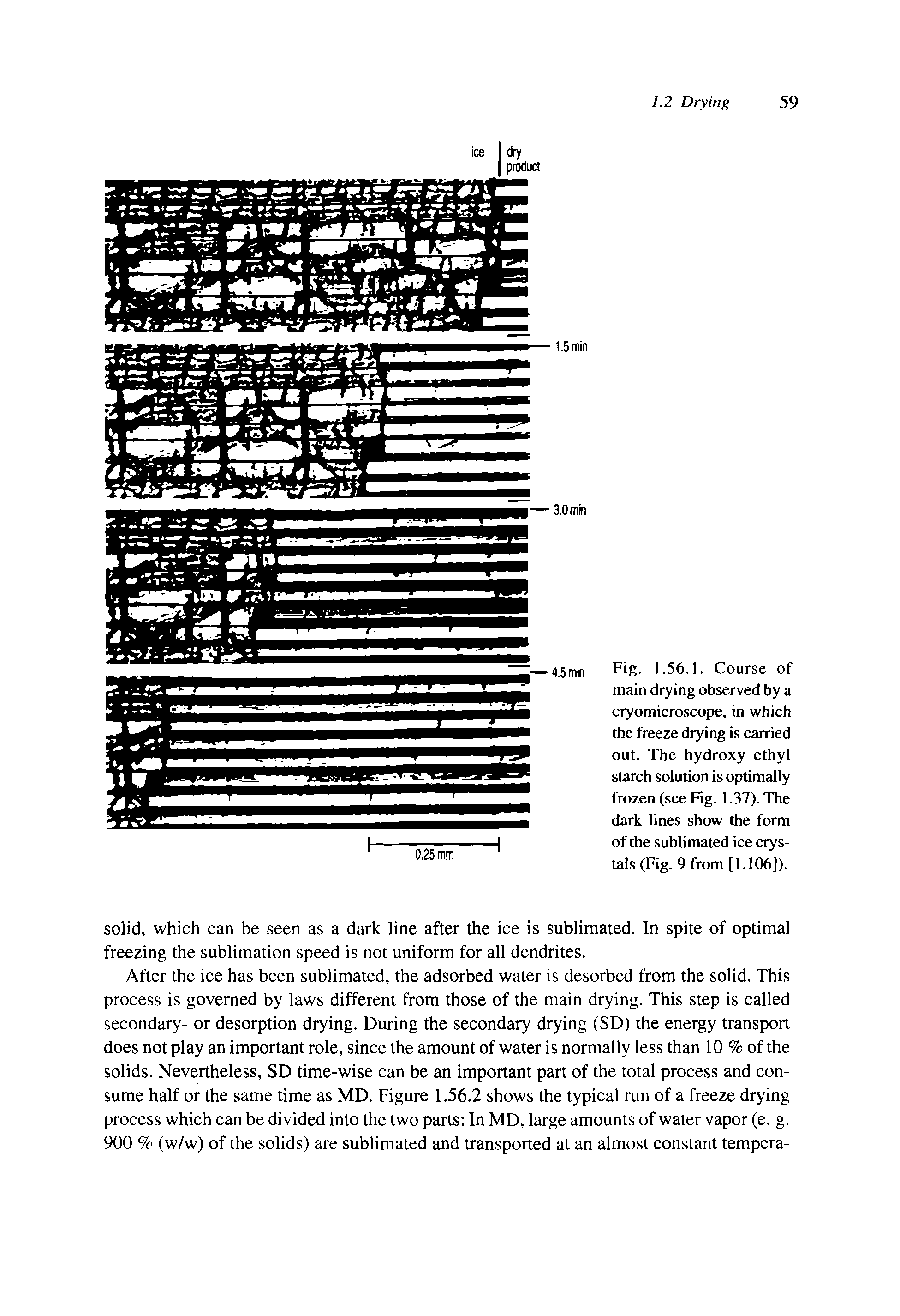 Fig. 1.56.1. Course of main drying observed by a cryomicroscope, in which the freeze drying is carried out. The hydroxy ethyl starch solution is optimally frozen (see Fig. 1.37). The dark lines show the form of the sublimated ice crystals (Fig. 9 from [1.106]).