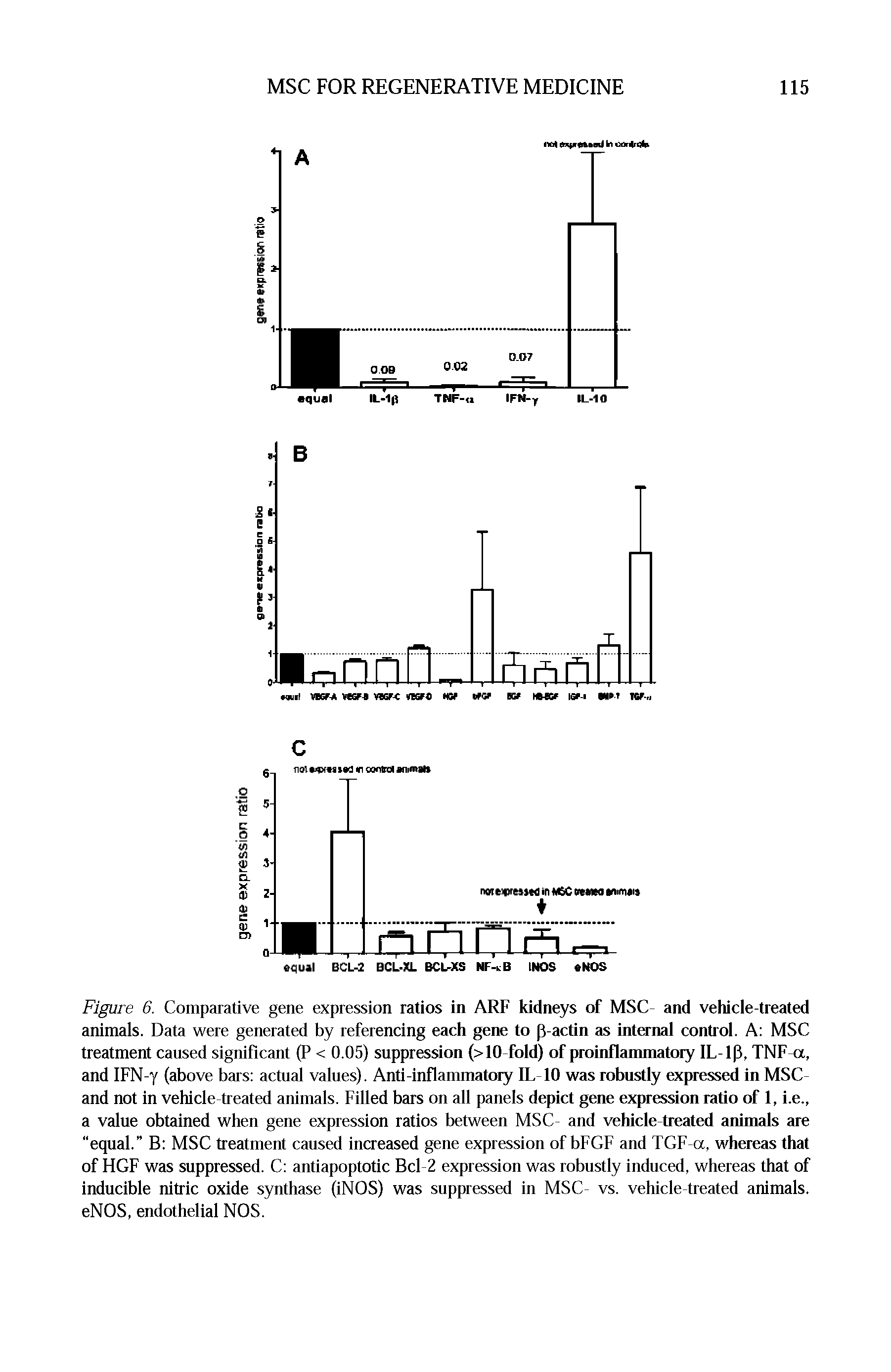 Figure 6. Comparative gene expression ratios in ARF kidneys of MSC- and vehicle-treated animals. Data were generated by referencing each gene to p-actin as internal control. A MSC treatment cansed significant (P < 0.05) suppression (> 10 fold) of proinflammatory IL-ip, TNF a, and IFN-y (above bars actnal valnes). Anti-inflammatory lL-10 was robustly expressed in MSC-and not in vehicle treated animals. Filled bars on all panels depict gene expression ratio of 1, i.e., a value obtained when gene expression ratios between MSC- and vehicle-treated animals are "equal. B MSC treatment cansed increased gene expression of bFGF and TGF-a, whereas that of HGF was suppressed. C antiapoptotic Bcl-2 expression was robnstly indnced, whereas that of inducible nitric oxide synthase (iNOS) was snppressed in MSC- vs. vehicle-treated animals. eNOS, endothelial NOS.