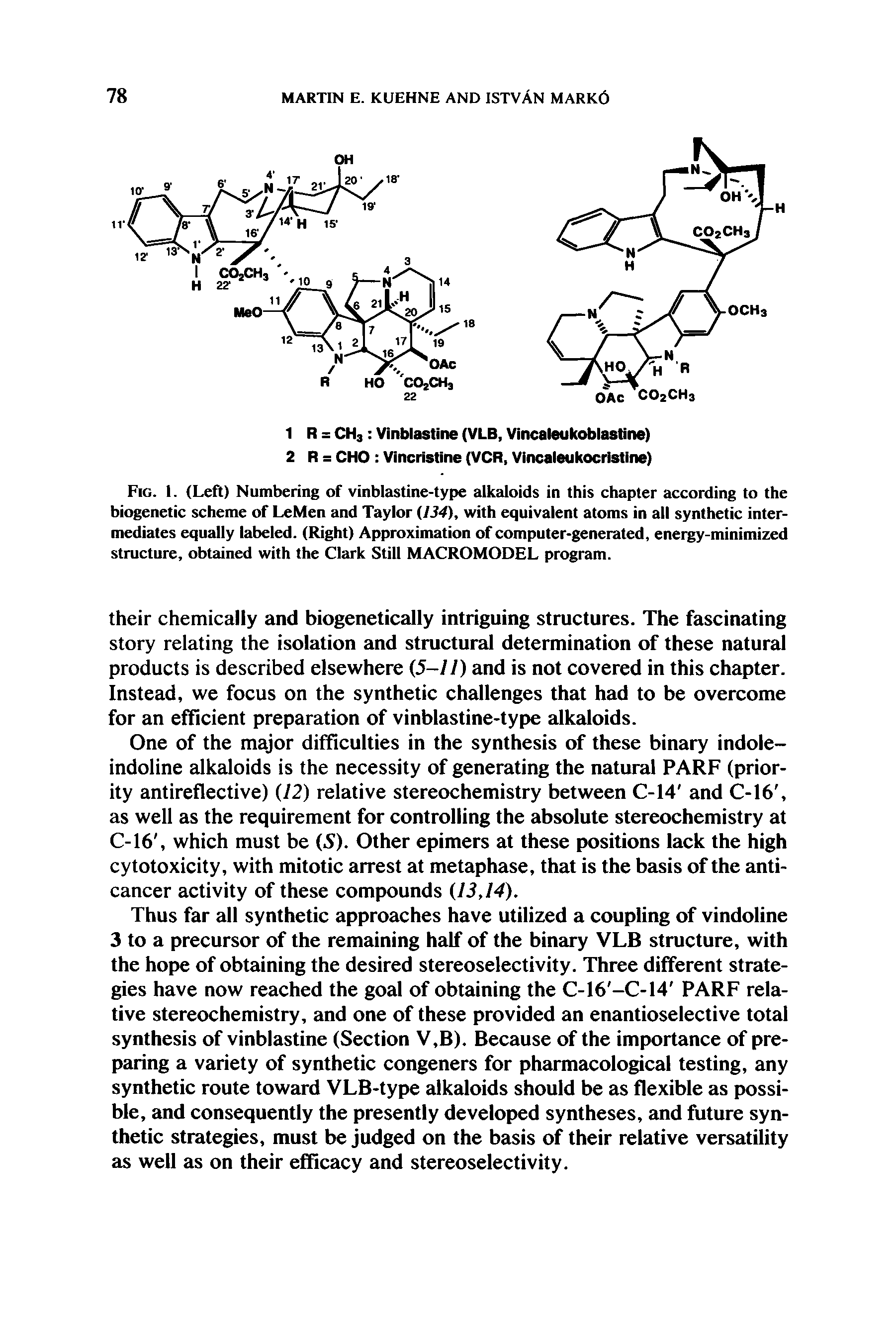 Fig. I. (Left) Numbering of vinblastine-type alkaloids in this chapter according to the biogenetic scheme of LeMen and Taylor (134), with equivalent atoms in all synthetic intermediates equally labeled. (Right) Approximation of computer-generated, energy-minimized structure, obtained with the Clark Still MACROMODEL program.