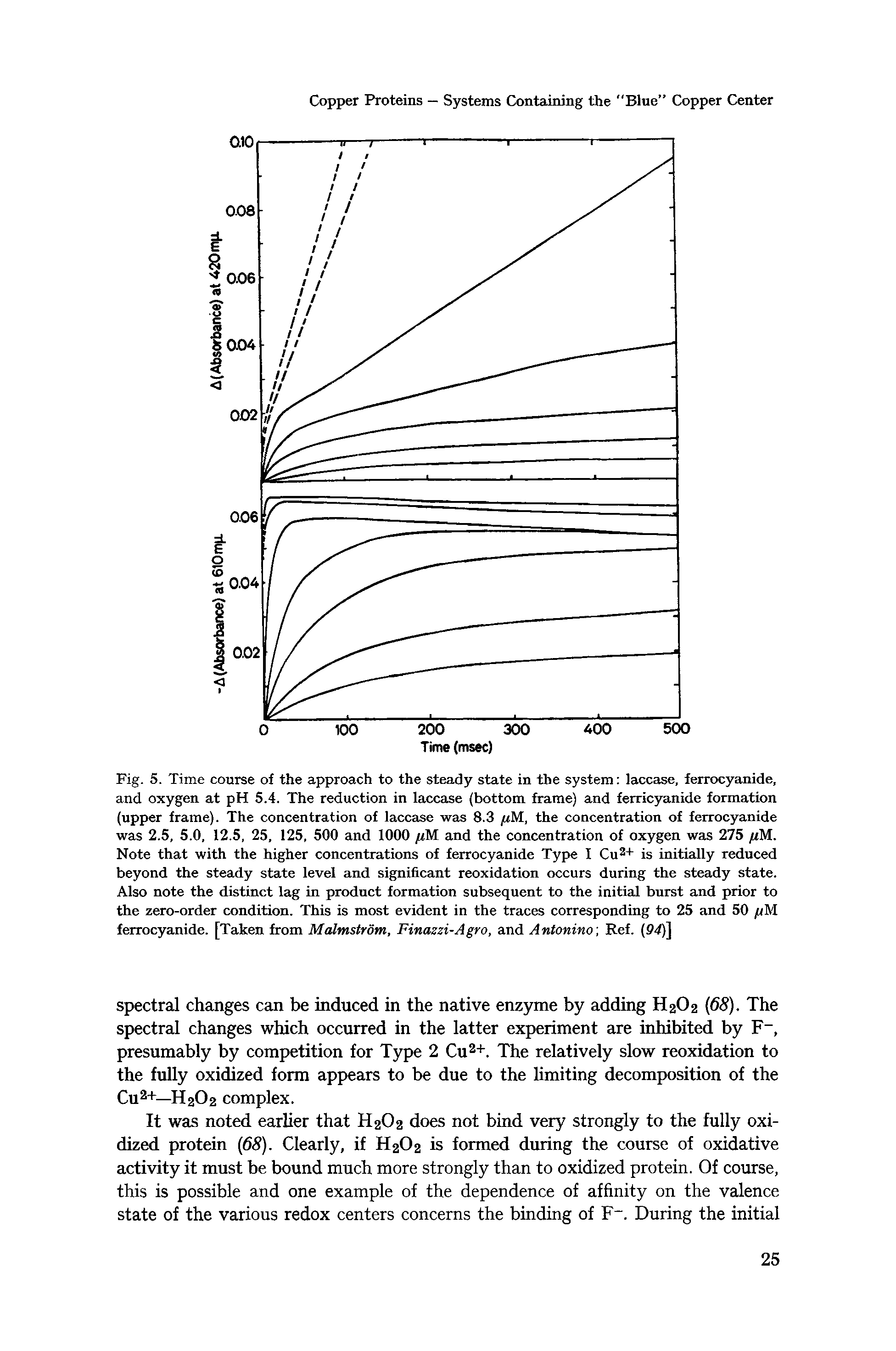 Fig. 5. Time course of the approach to the steady state in the system laccase, ferrocyanide, and oxygen at pH 5.4. The reduction in laccase (bottom frame) and ferricyanide formation (upper frame). The concentration of laccase was 8.3 //M, the concentration of ferrocyanide was 2.5, 5.0, 12.5, 25, 125, 500 and 1000 //M and the concentration of oxygen was 275 fiM.. Note that with the higher concentrations of ferrocyanide Type I Cu + is initially reduced beyond the steady state level and significant reoxidation occurs during the steady state. Also note the distinct lag in product formation subsequent to the initial burst and prior to the zero-order condition. This is most evident in the traces corresponding to 25 and 50 //M ferrocyanide. [Taken from McUmstrom, Finaszi-Agro, and AntoninaRef. (94)]...