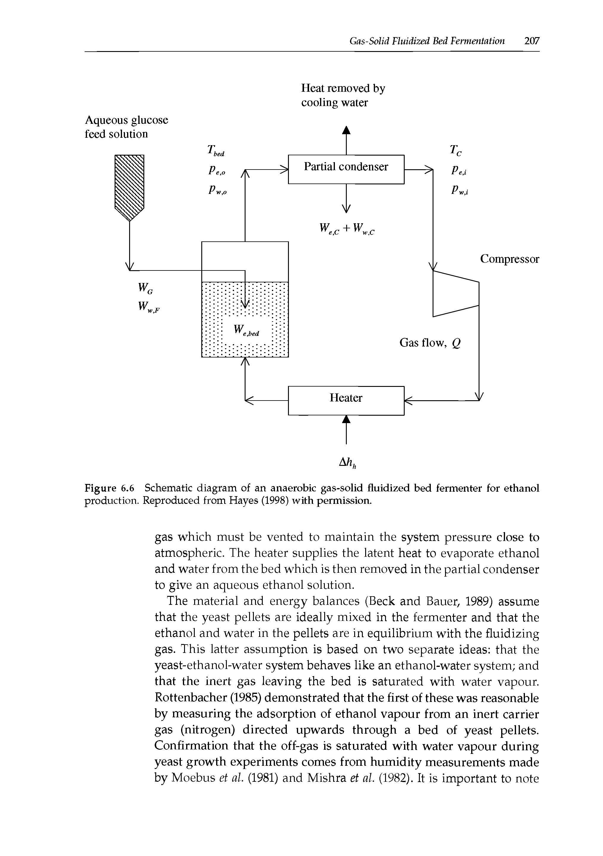 Figure 6.6 Schematic diagram of an anaerobic gas-solid fluidized bed fermenter for ethanol production. Reproduced from Hayes (1998) with permission.