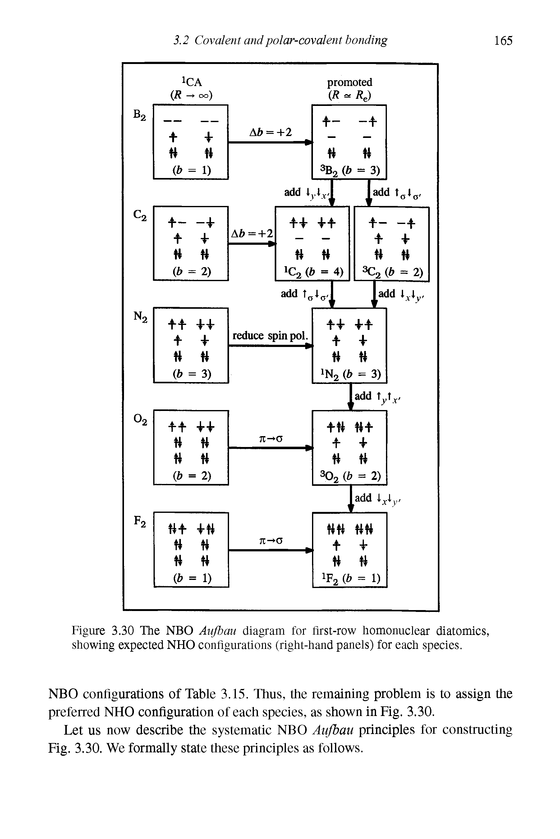 Figure 3.30 The NBO Aufbau diagram for first-row homonuclear diatomics, showing expected NHO configurations (right-hand panels) for each species.
