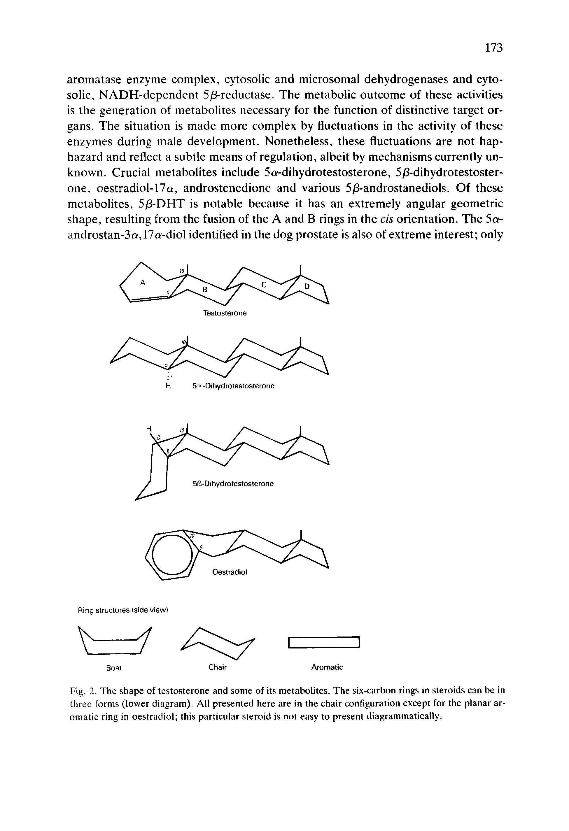 Fig. 2. The shape of testosterone and some of its metabolites. The six-carbon rings in steroids can be in three forms (lower diagram). All presented here are in the chair configuration except for the planar aromatic ring in oestradiol this particular steroid is not easy to present diagrammatically.