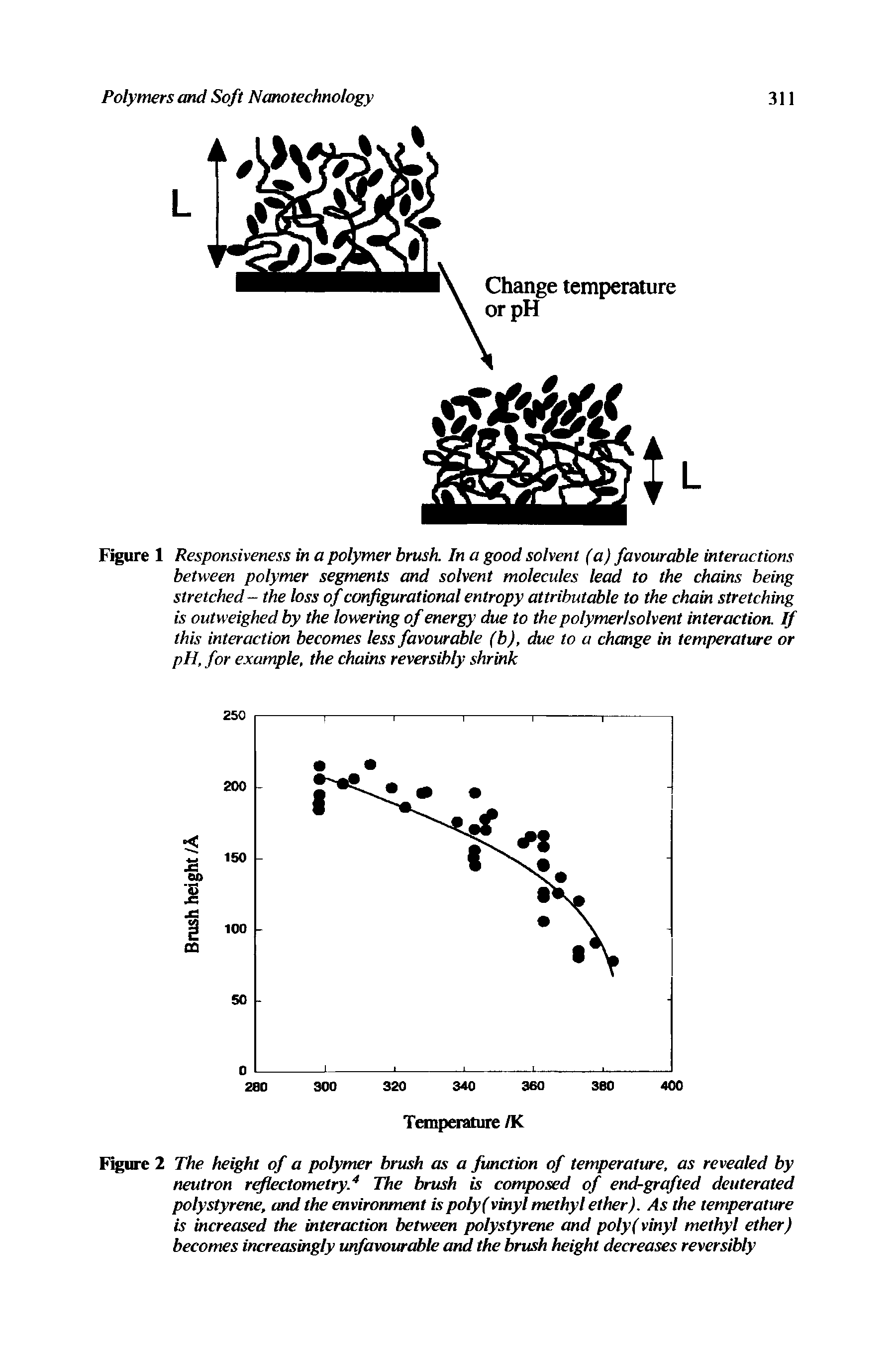 Figure 2 The height of a polymer brush as a function of temperature, as revealed by neutron reflectometry. The brush is composed of end-grafted deuterated polystyrene, and the environment ispoly(vinyl methyl ether). As the temperature is increased the interaction between polystyrene and poly( vinyl methyl ether) becomes increasingly unfavourable and the brush height decreases reversibly...