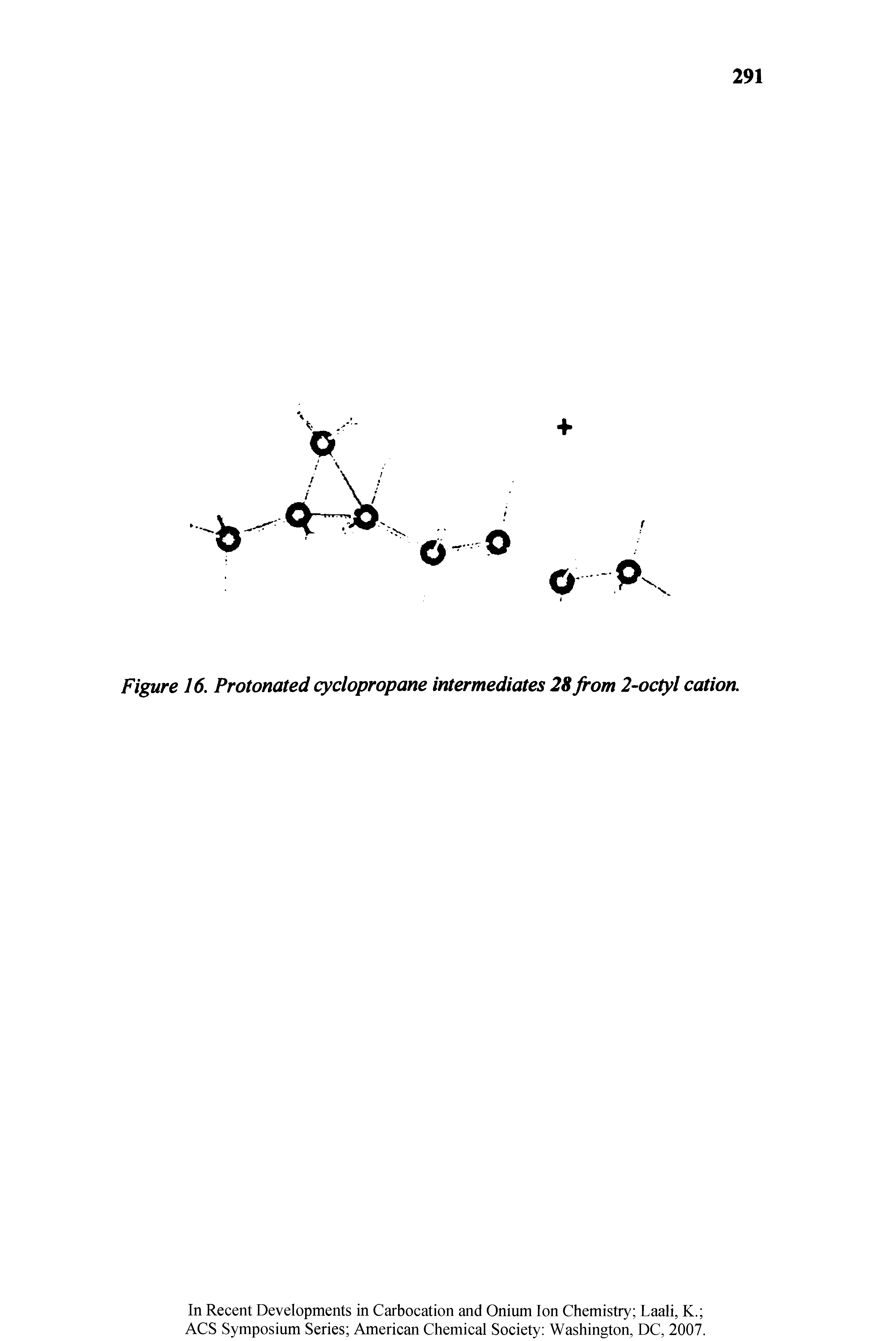 Figure 16. Protonated cyclopropane intermediates 28 from 2-octyl cation.