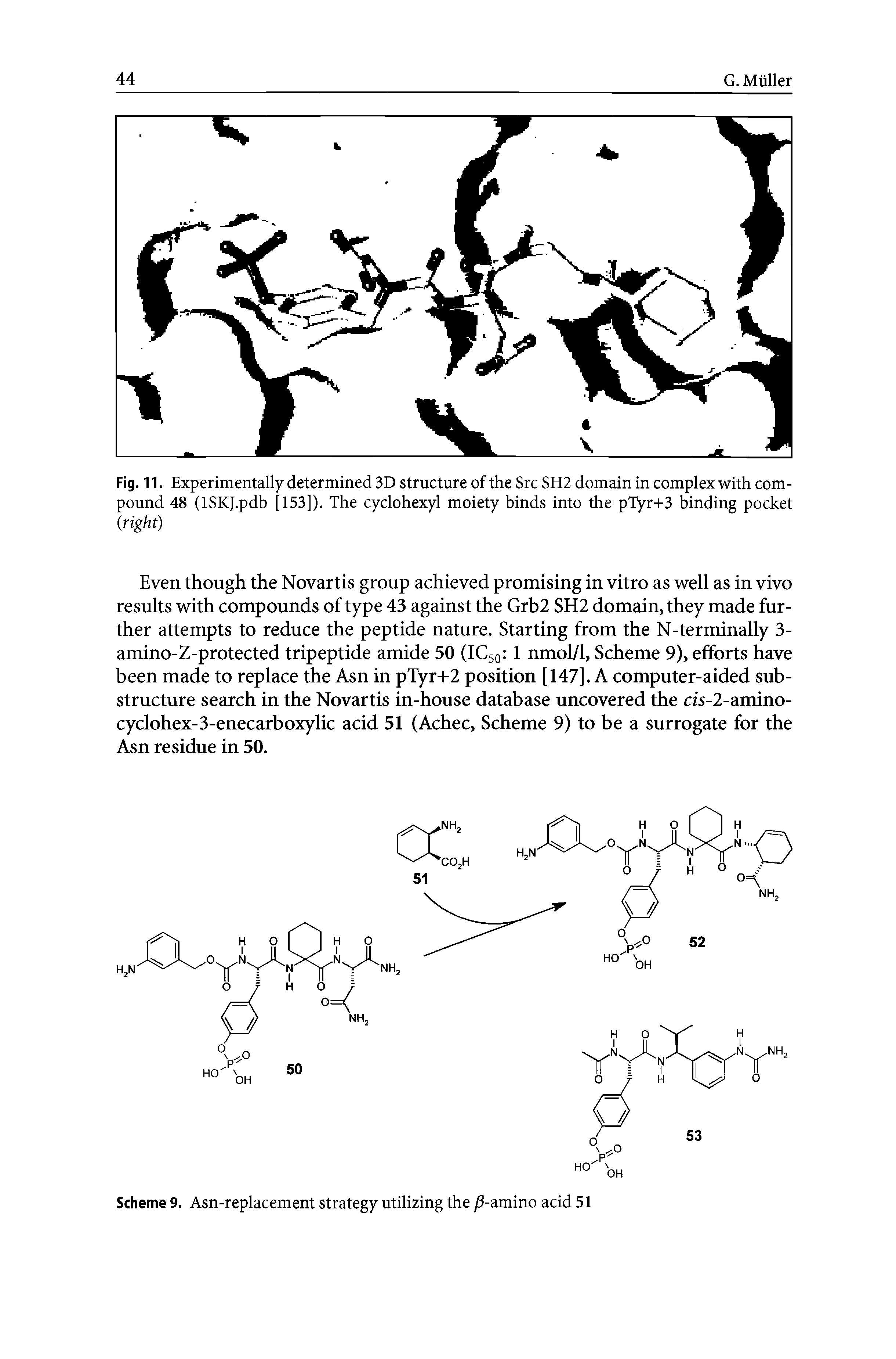 Scheme 9. Asn-replacement strategy utilizing the (3-amino acid 51...