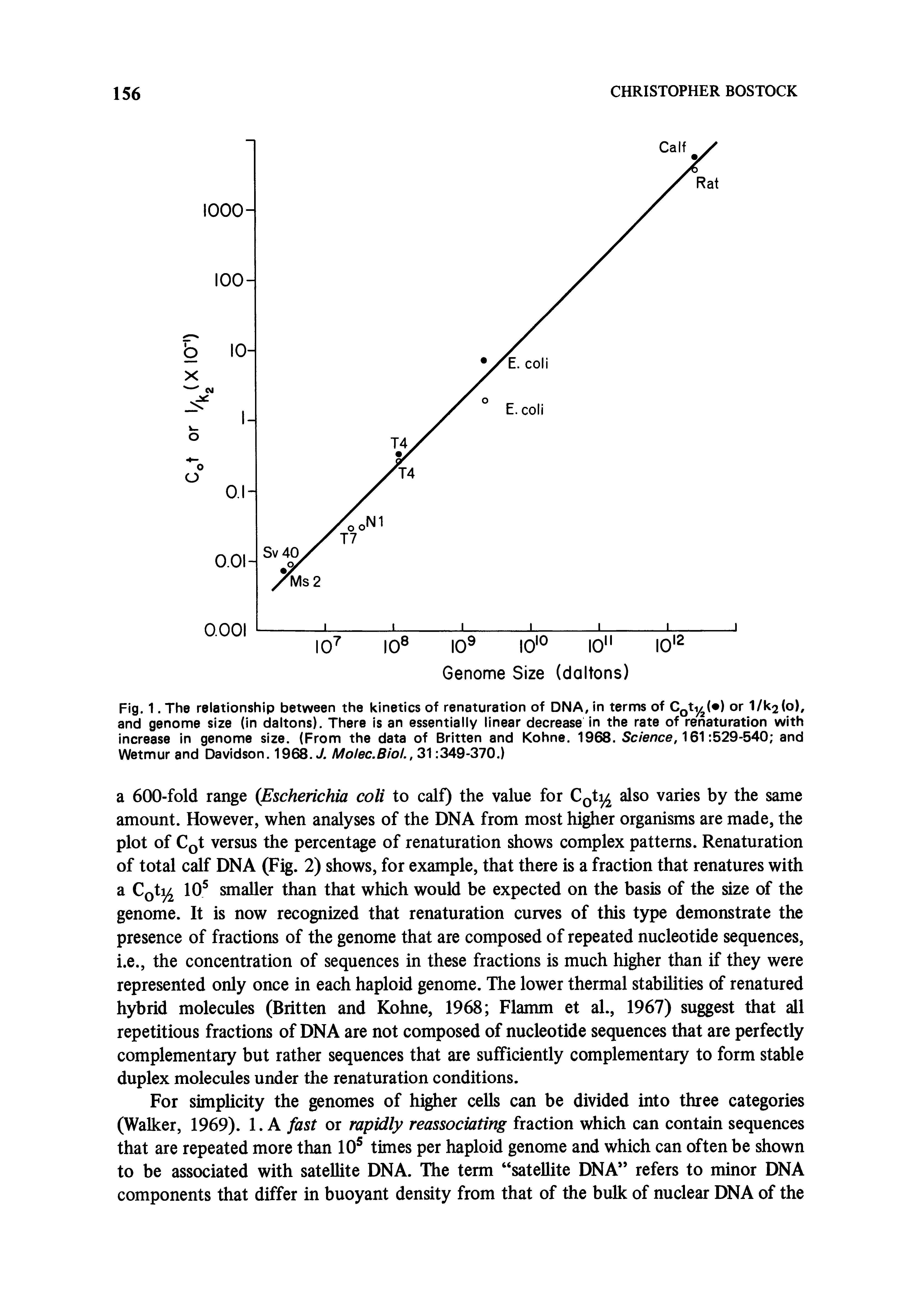 Fig. 1. The relationship between the kinetics of renaturation of DNA, in terms of CQti ( ) or 1/k2(o), and genome size (in daitons). There is an essentially linear decrease in the rate of renaturation with increase in genome size. (From the data of Britten and Kohne. 1968. Sc/eA7ce, 161 529-540 and Wetmur and Davidson. 1968. Molec.Biol.,3 349-370.)...